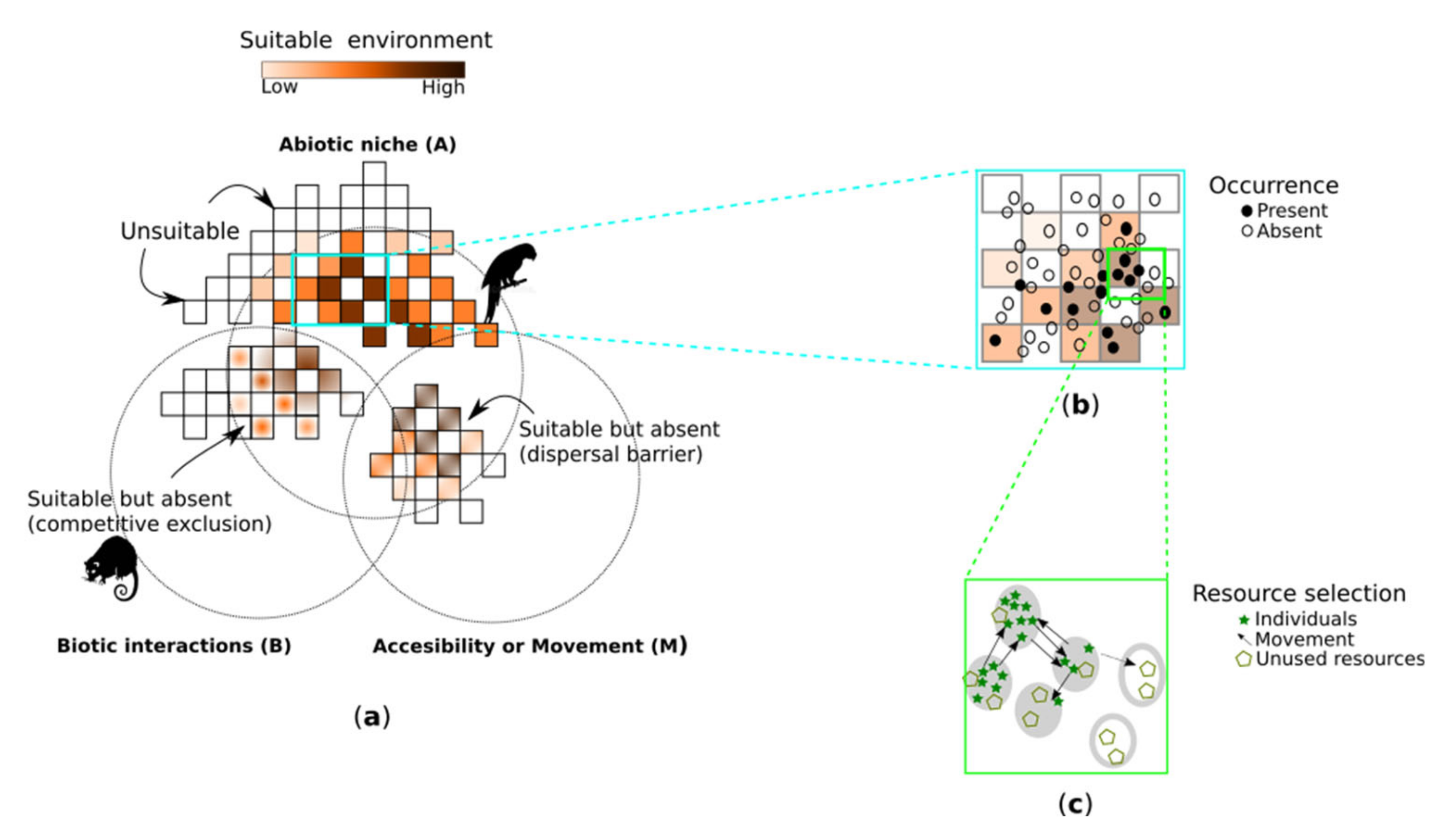 Diversity 13 00611 g005 Diversity 13 00611 g005