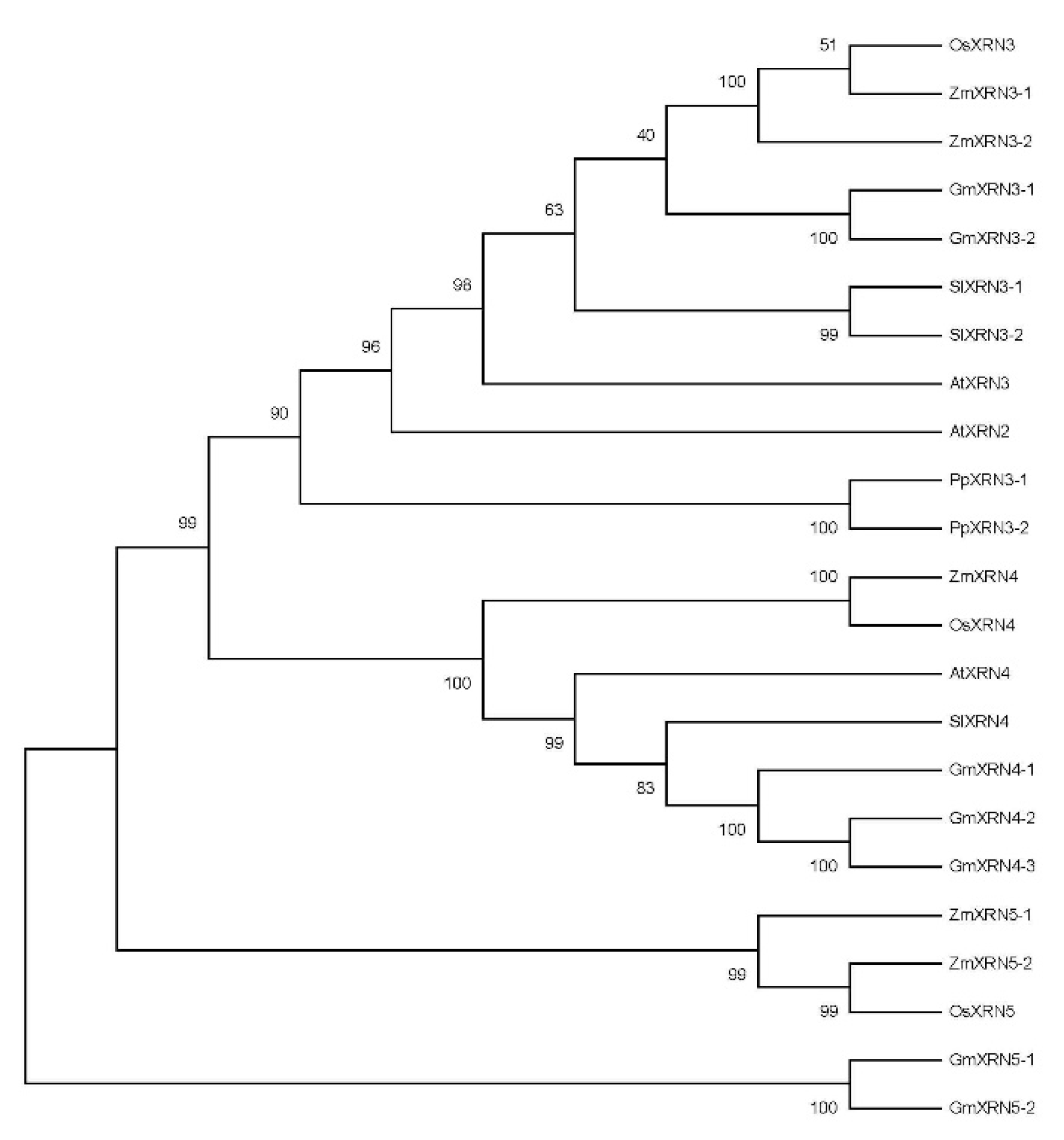 Diversity 13 00612 g001