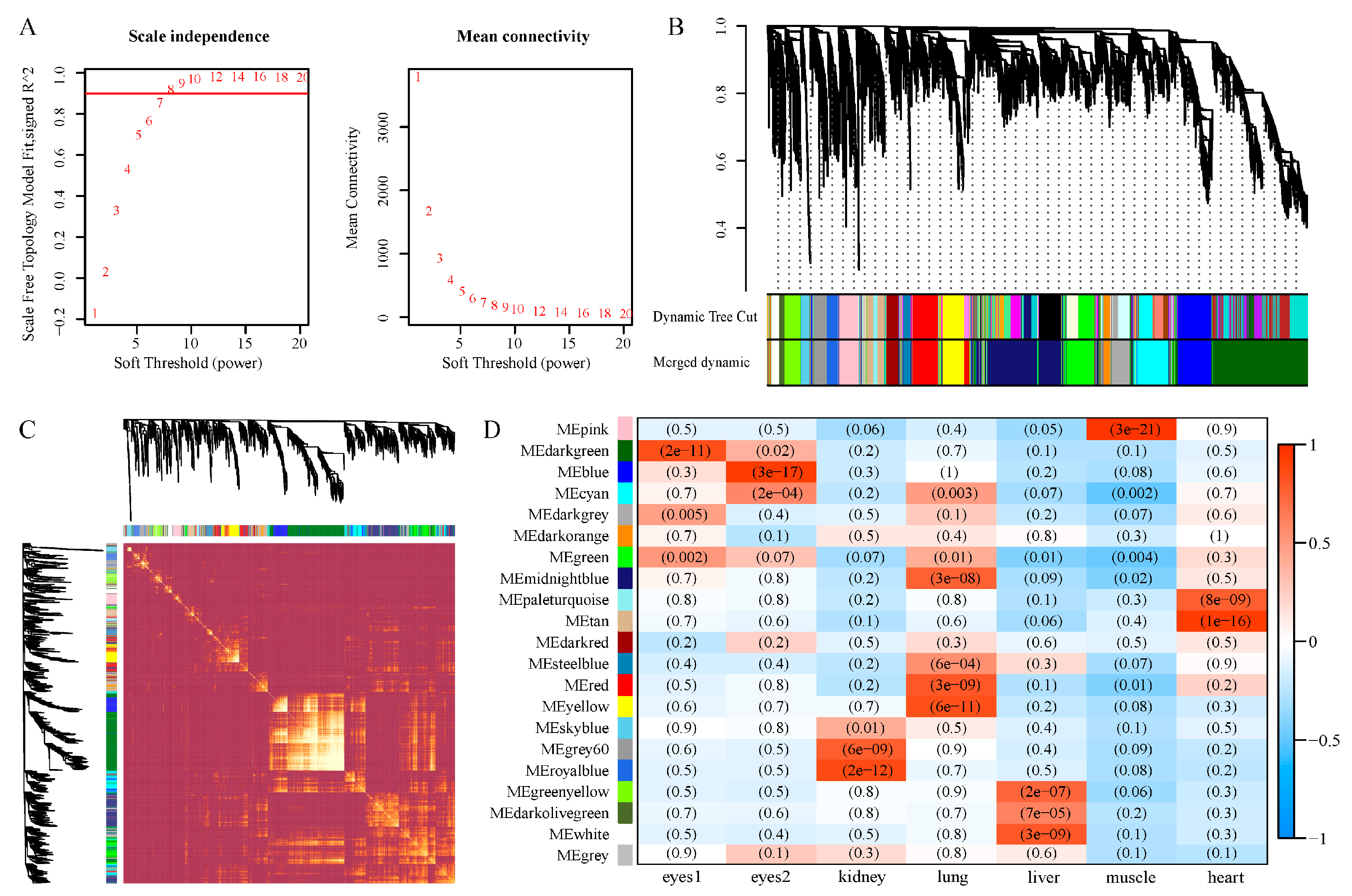 Diversity 13 00621 g004 Diversity 13 00621 g004