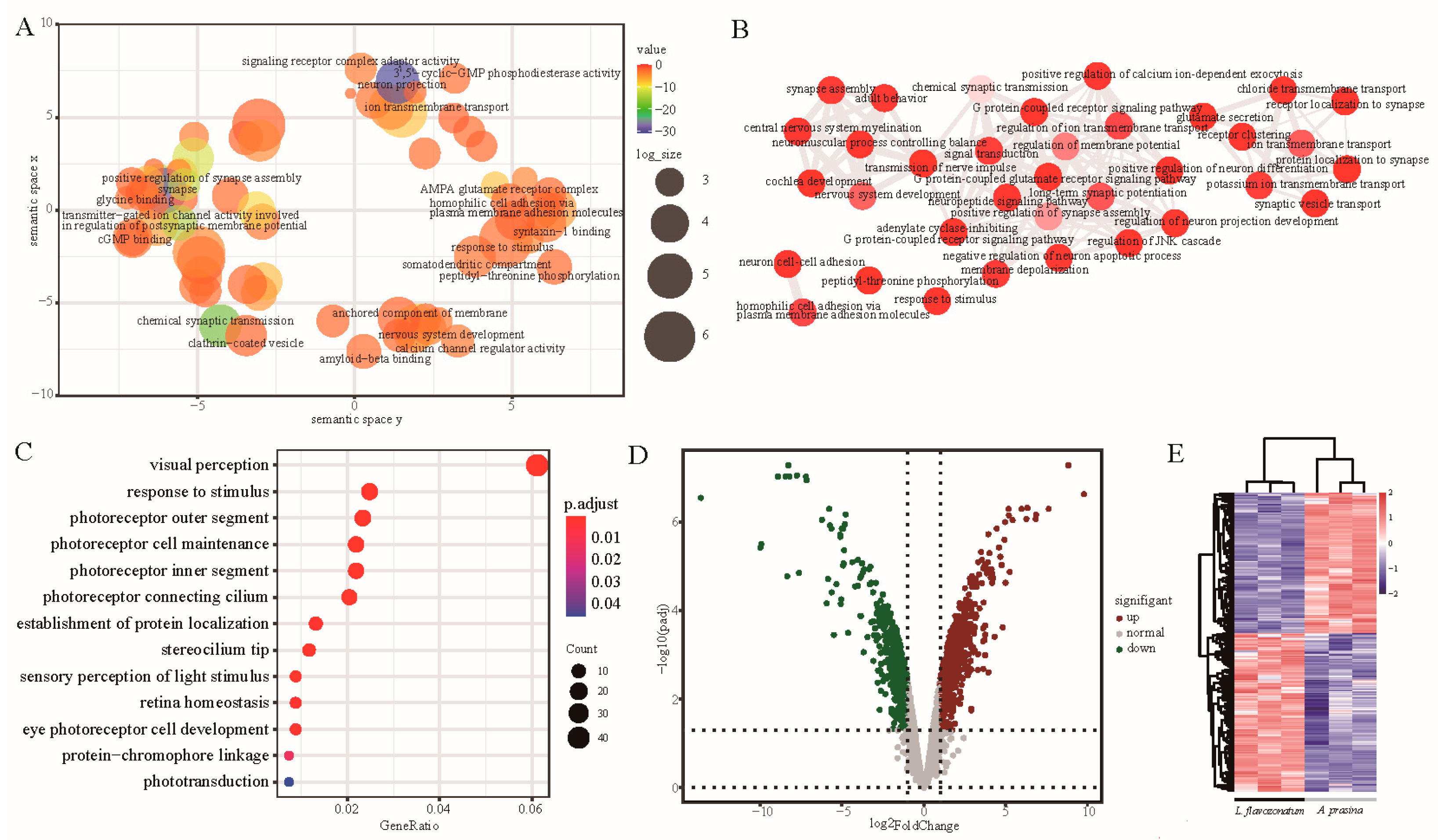 Diversity 13 00621 g005 Diversity 13 00621 g005