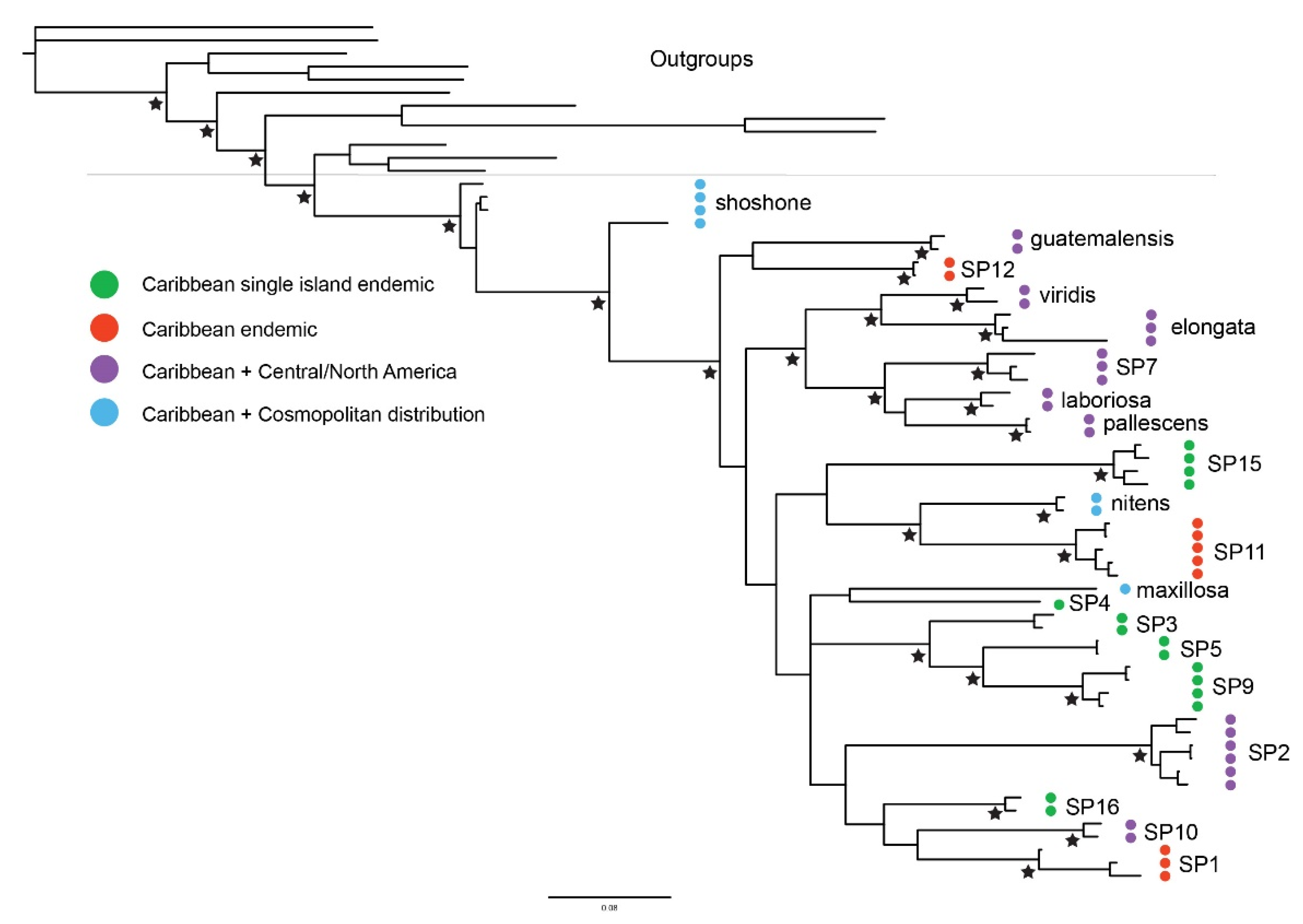 Diversity 13 00622 g002