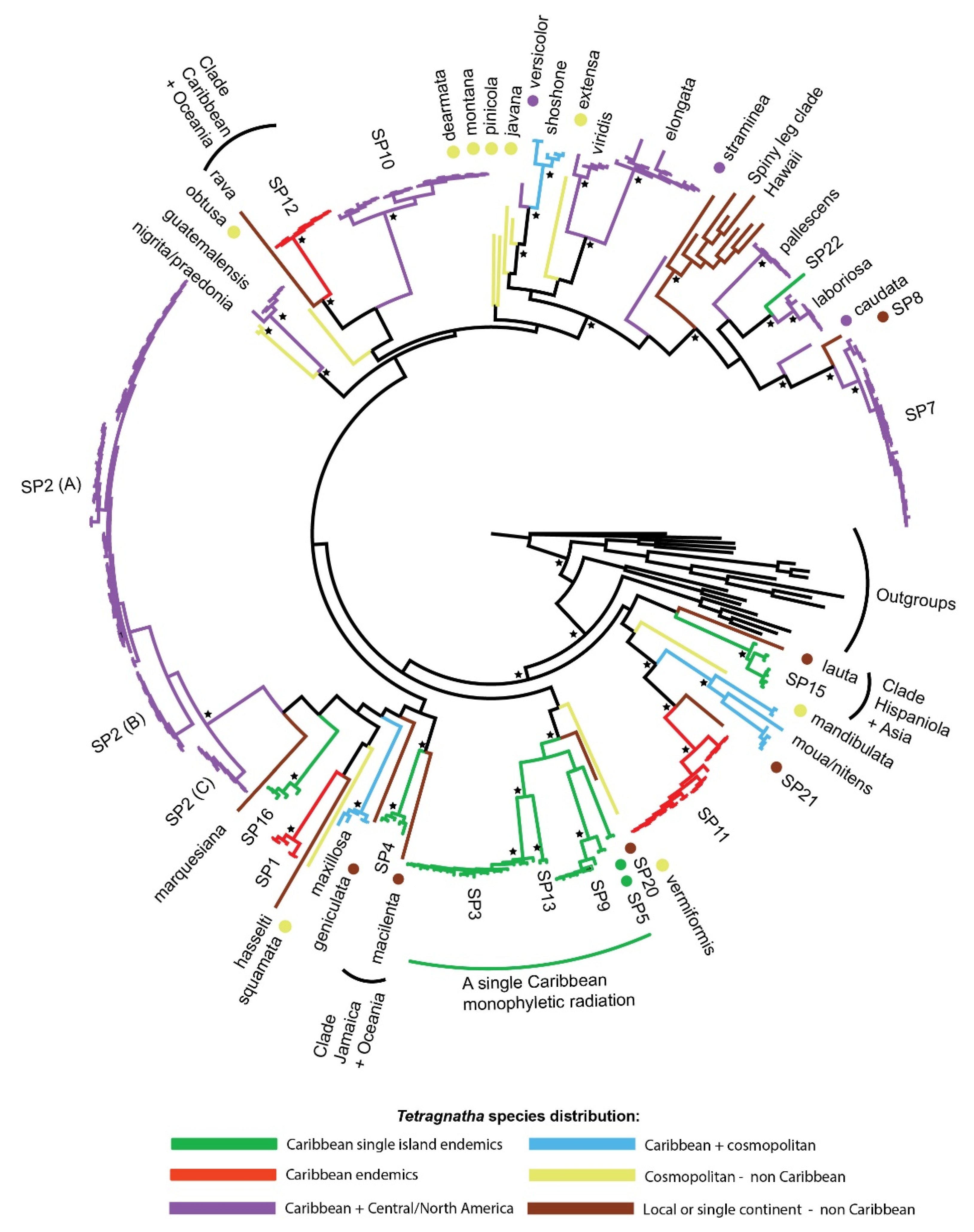 Diversity 13 00622 g003