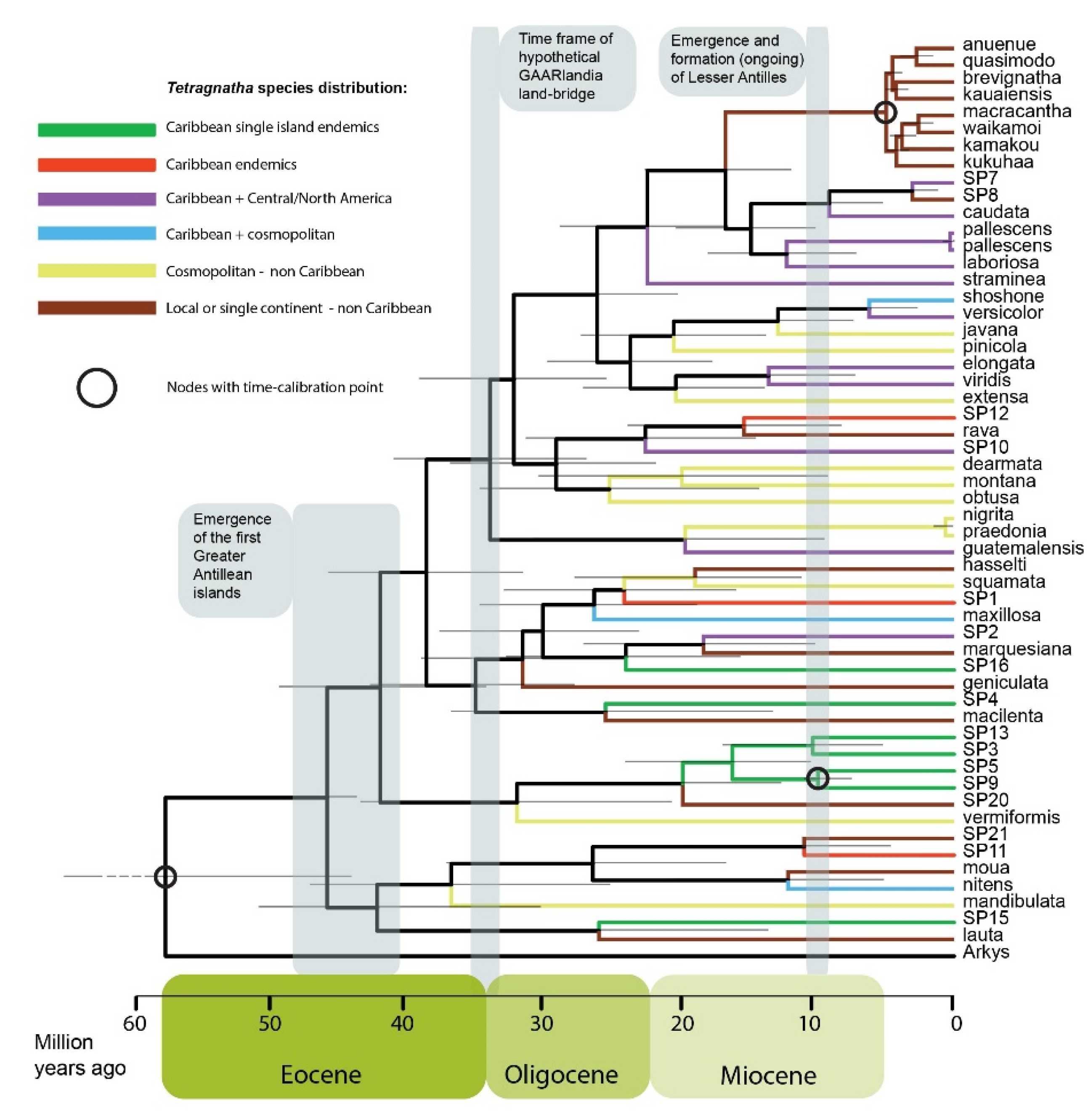Diversity 13 00622 g004