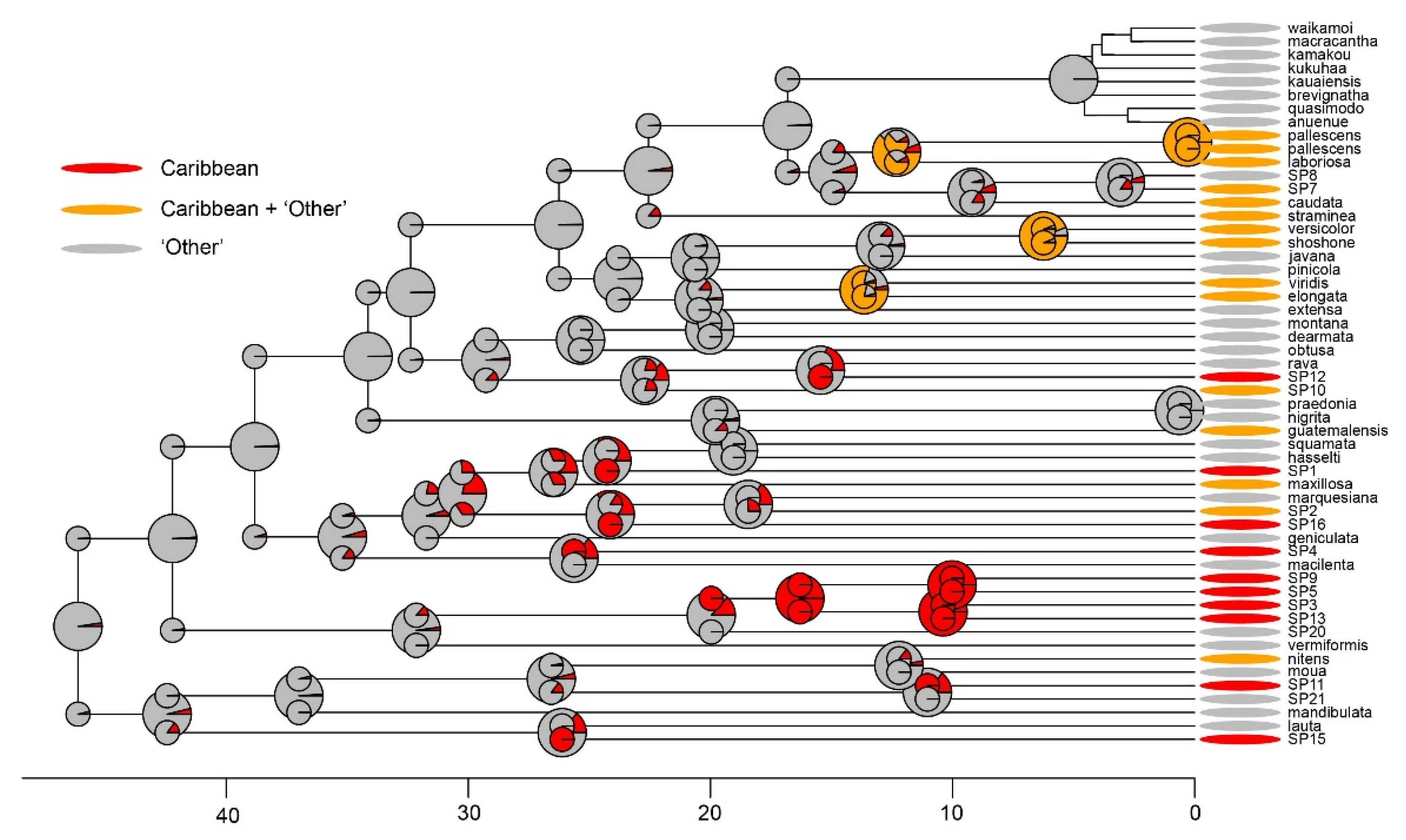 Diversity 13 00622 g005