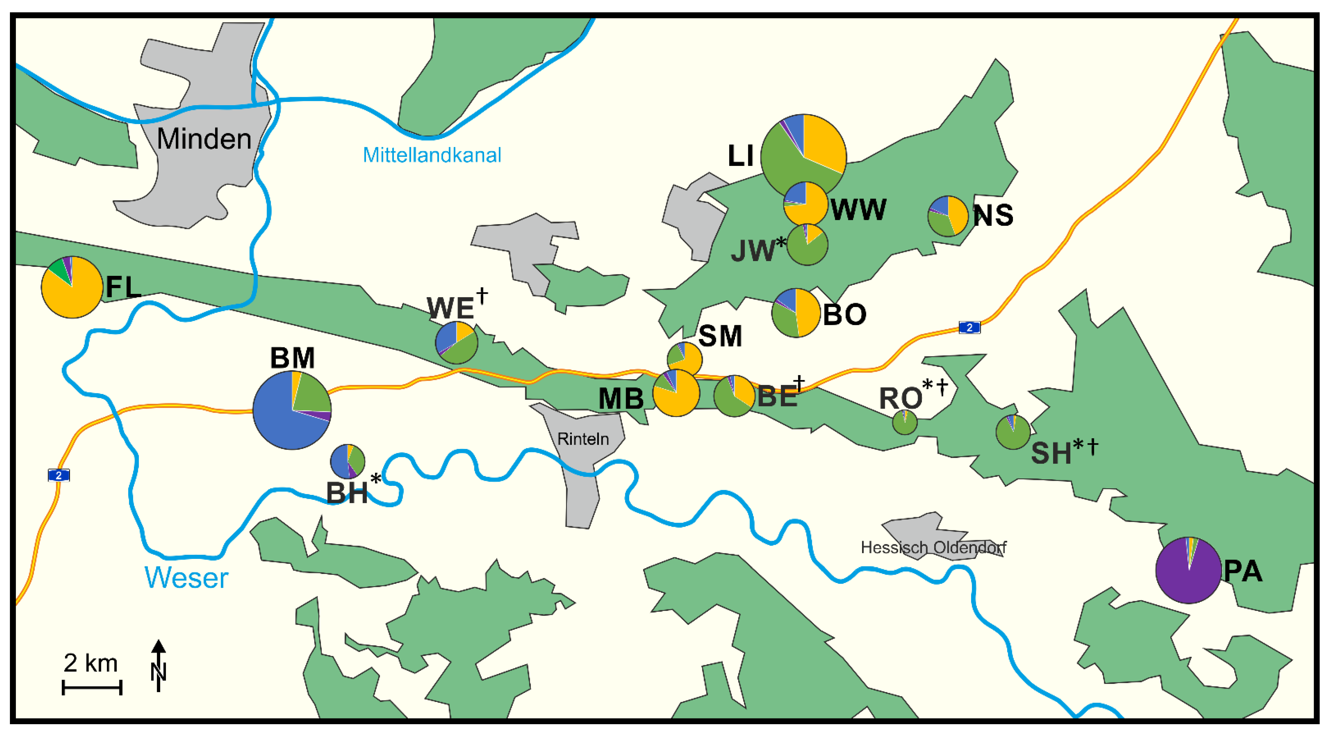 Diversity 13 00623 g001