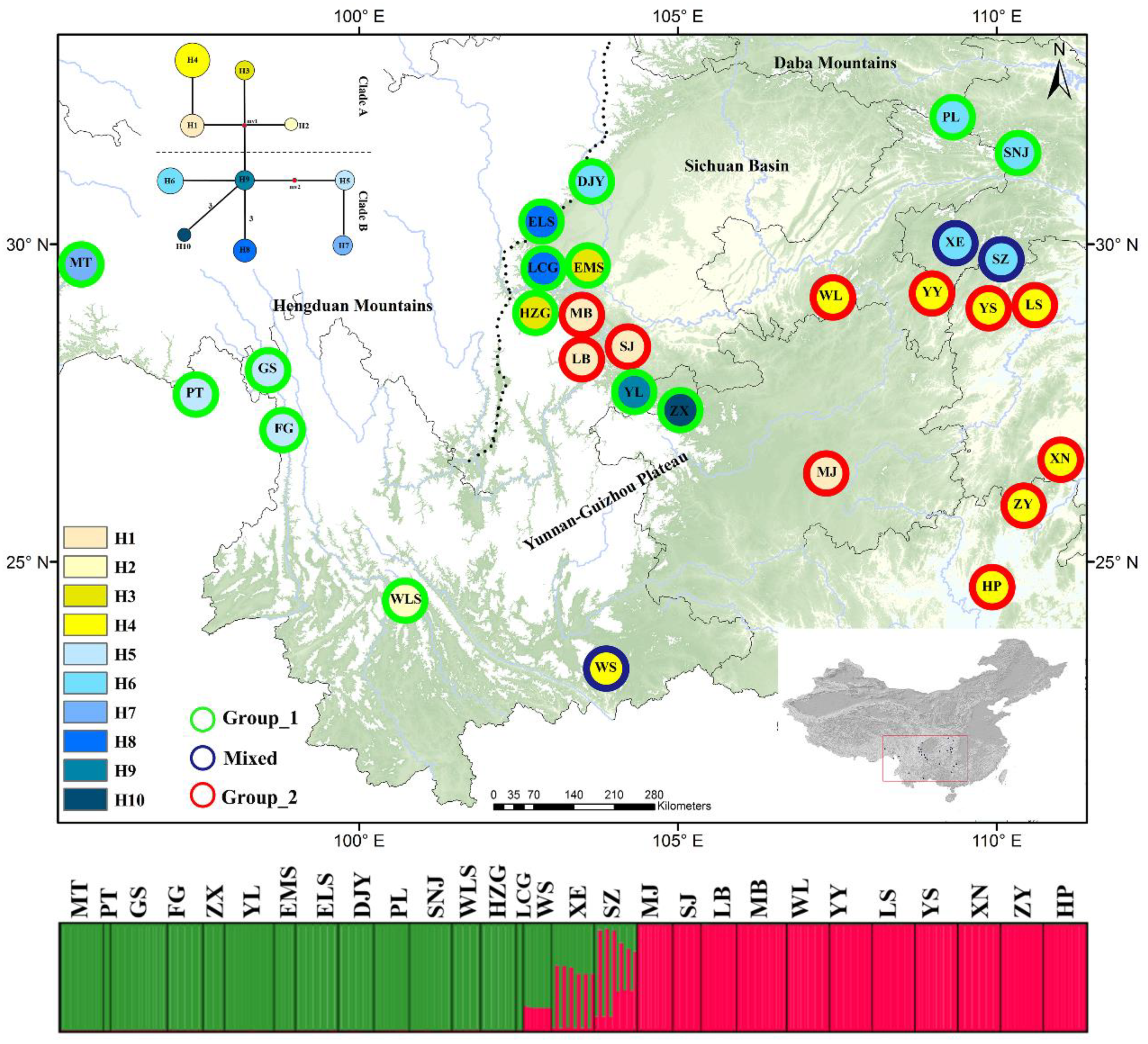 ma Subtle East–West Phylogeographic Break of Asteropyrum