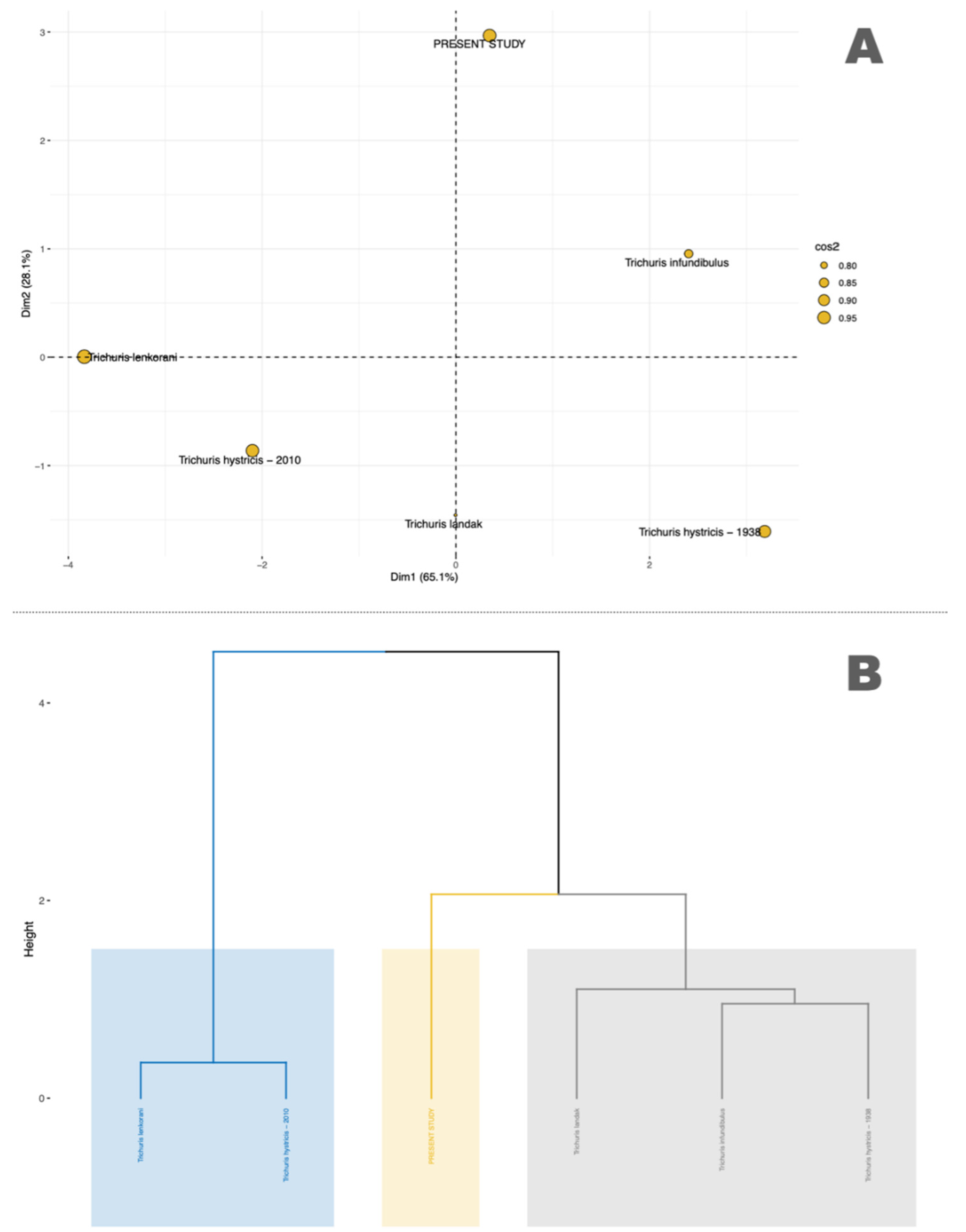 Diversity 13 00628 g002