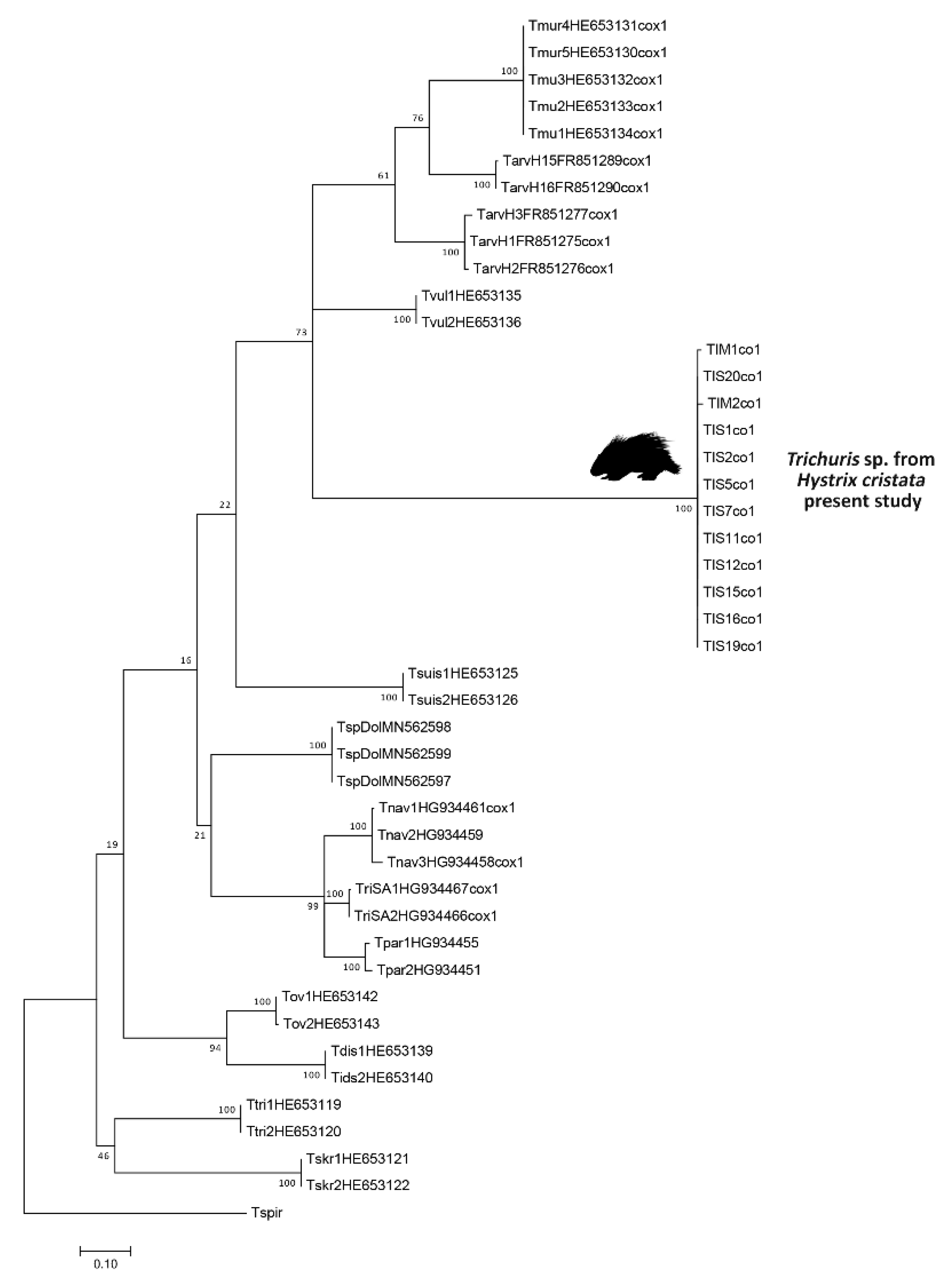 Diversity 13 00628 g003