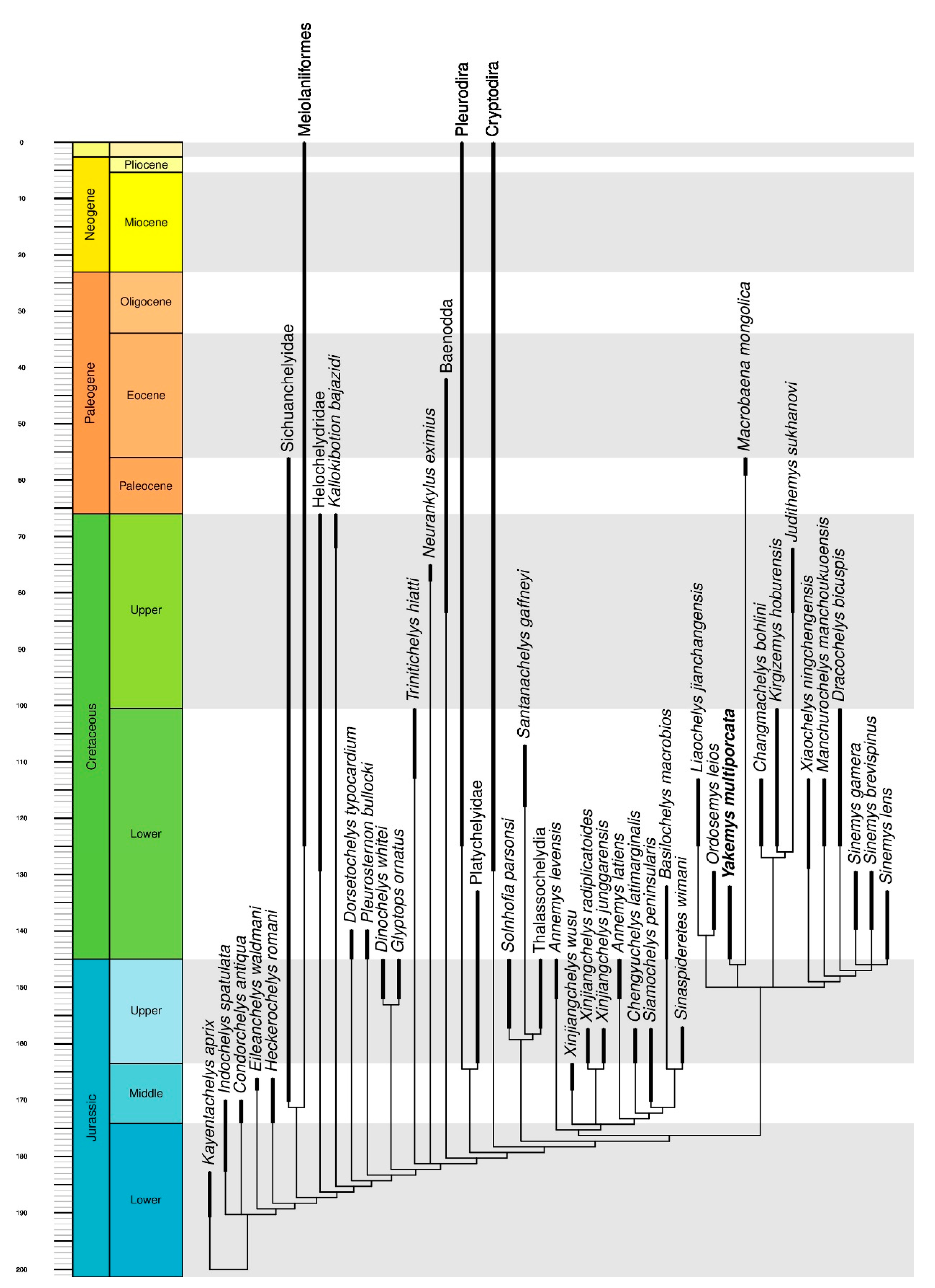 Diversity 13 00630 g004