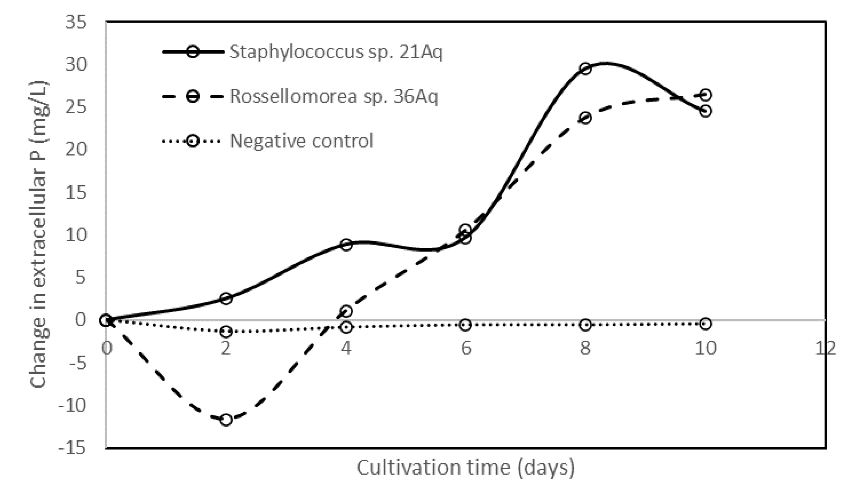 Diversity 13 00631 g003
