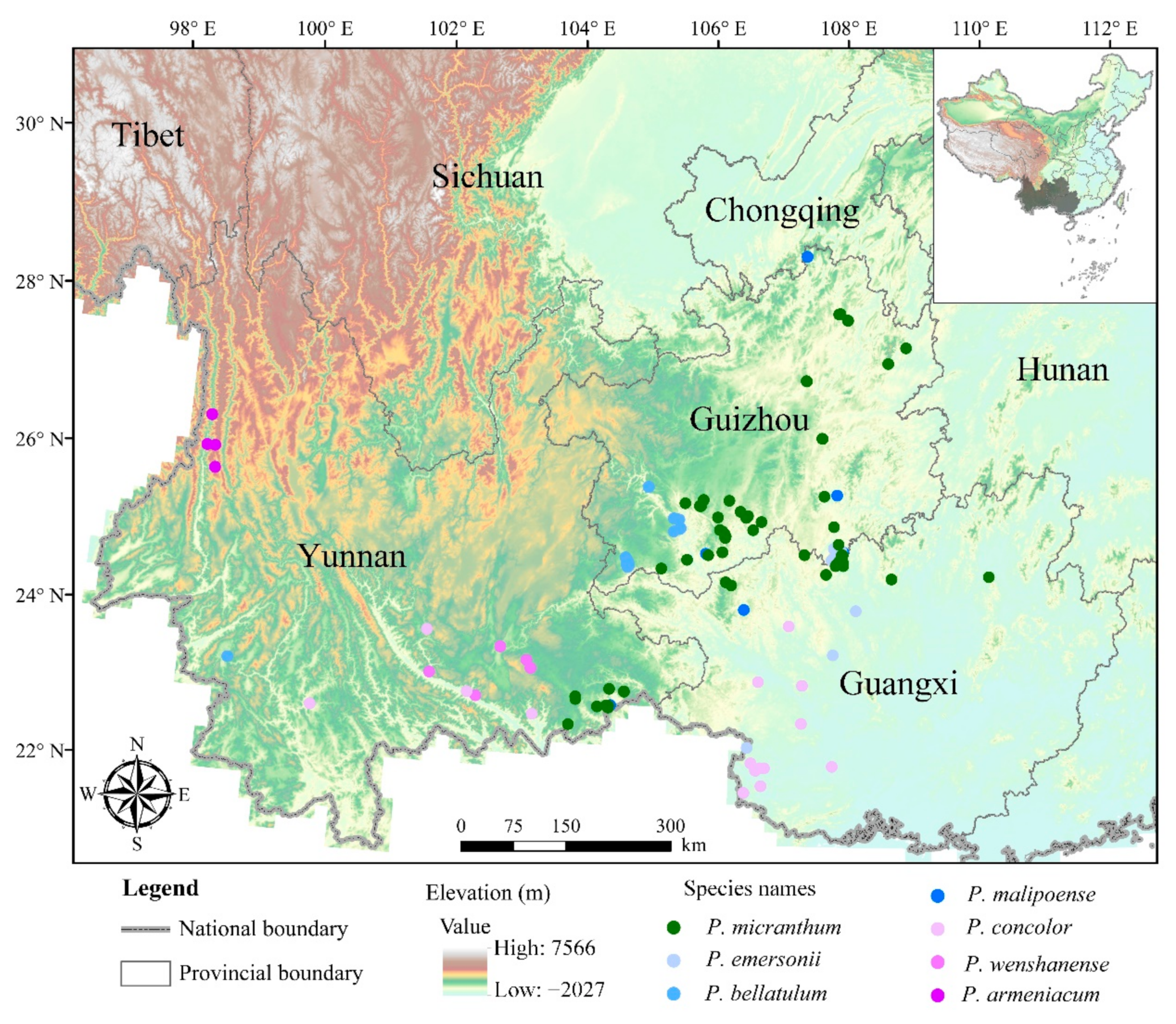 Diversity 13 00634 g001