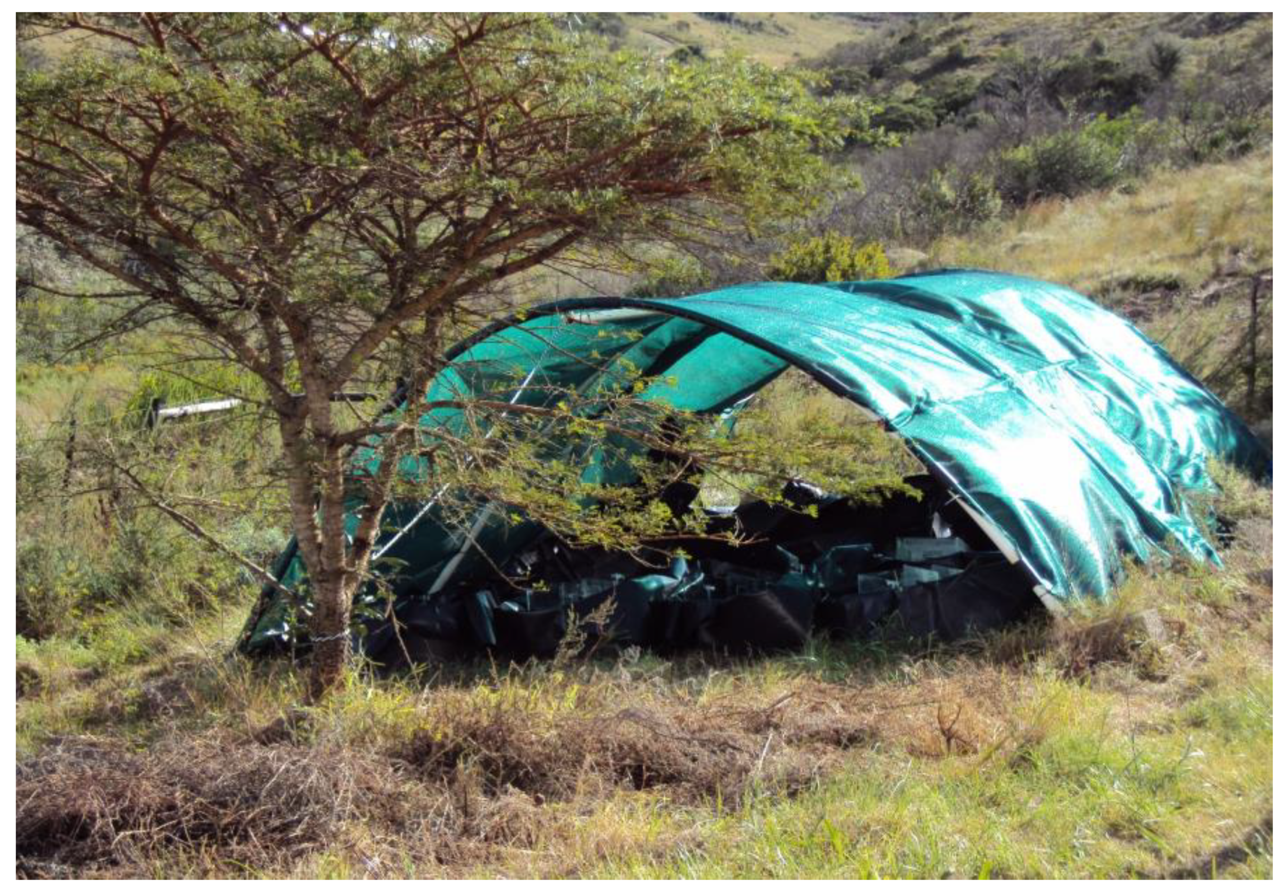 Diversity 13 00635 g002