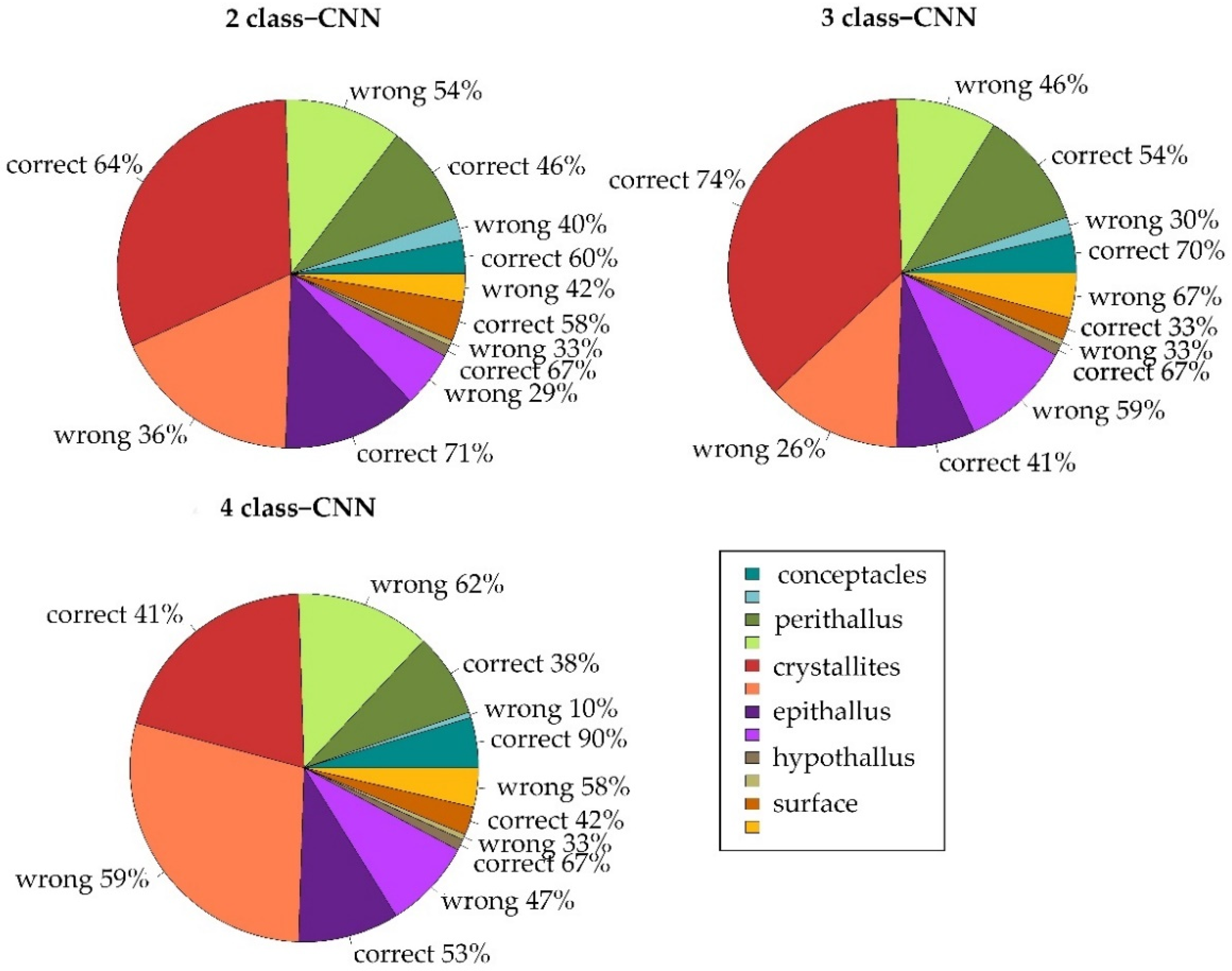 Diversity 13 00640 g004