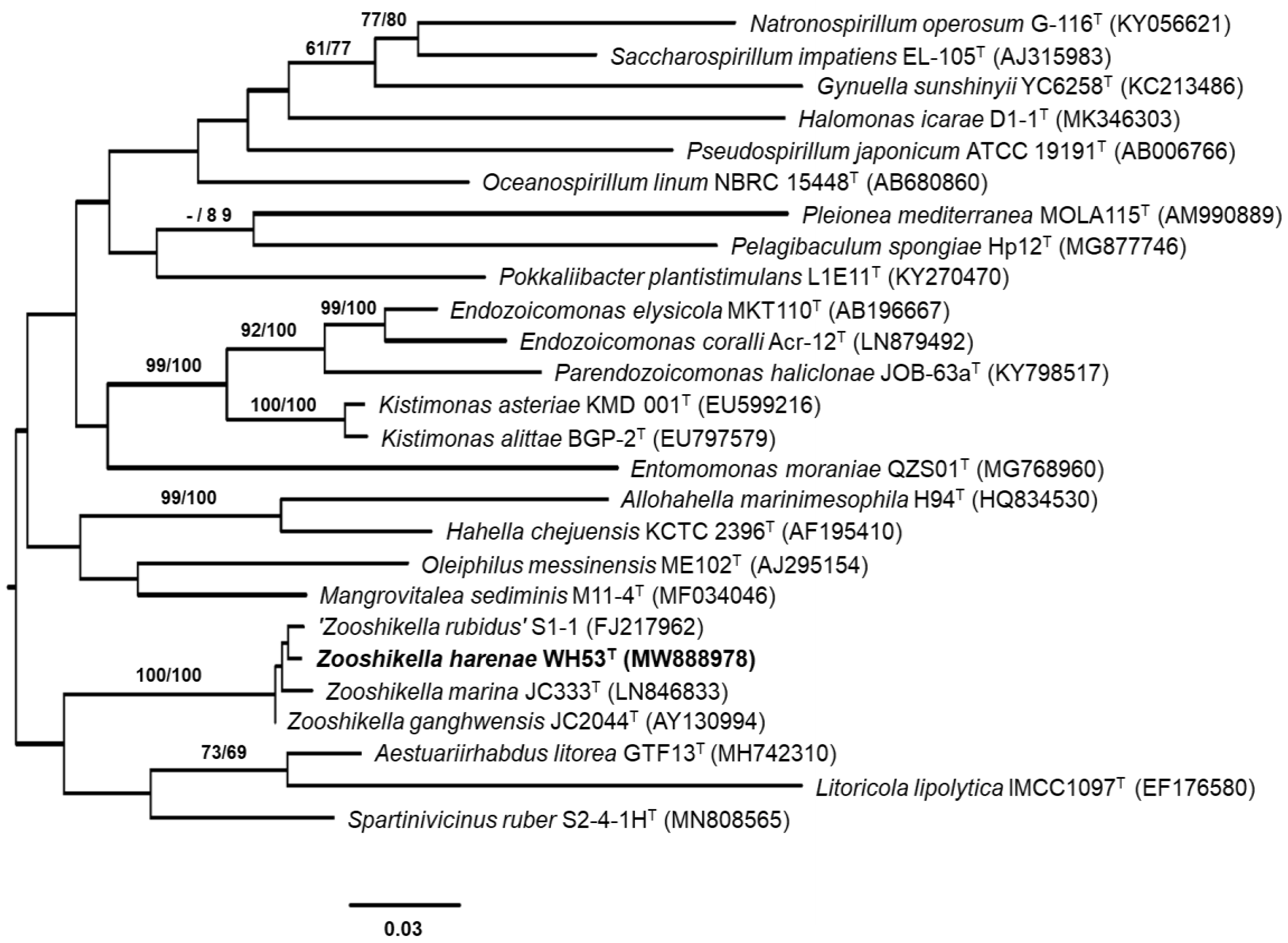 Diversity 13 00641 g002