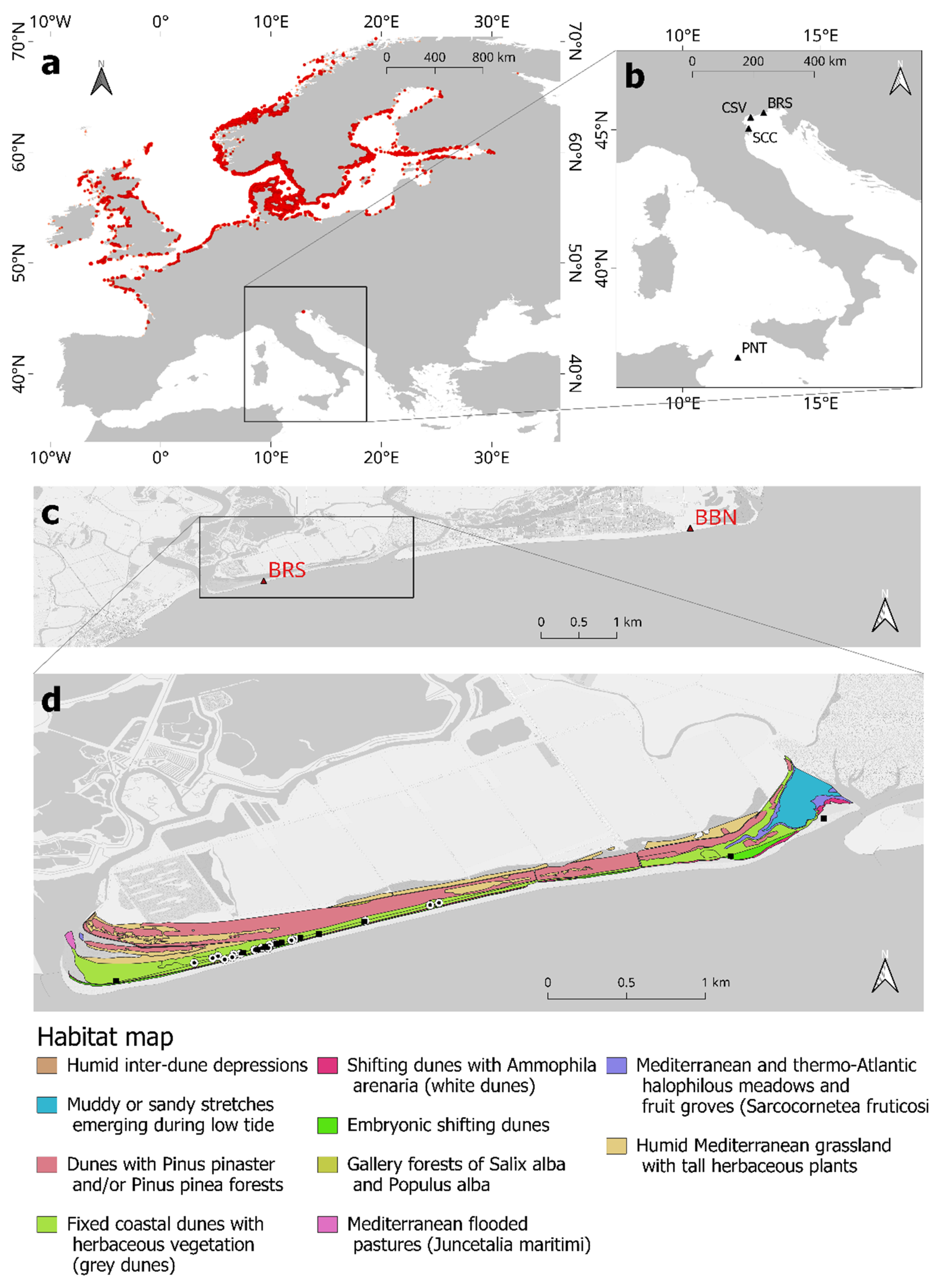 Diversity 13 00645 g002