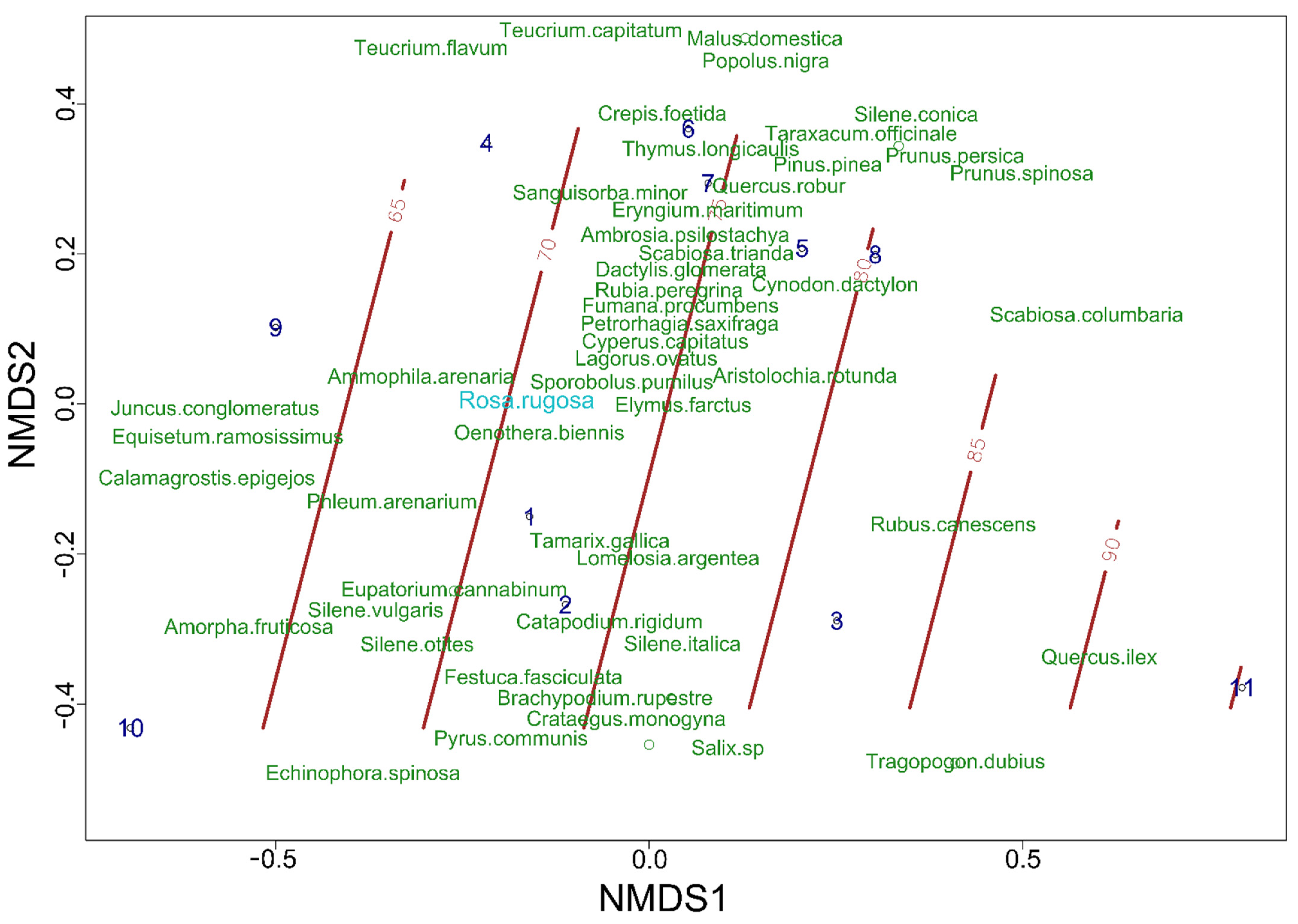 Diversity 13 00645 g005