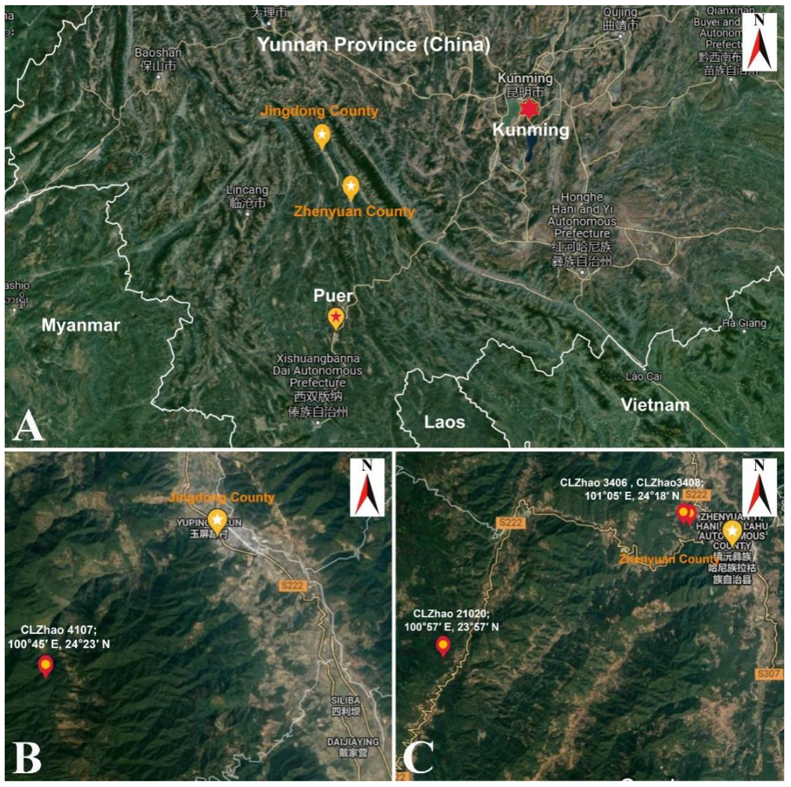 Diversity 13 00646 g001 Diversity 13 00646 g001