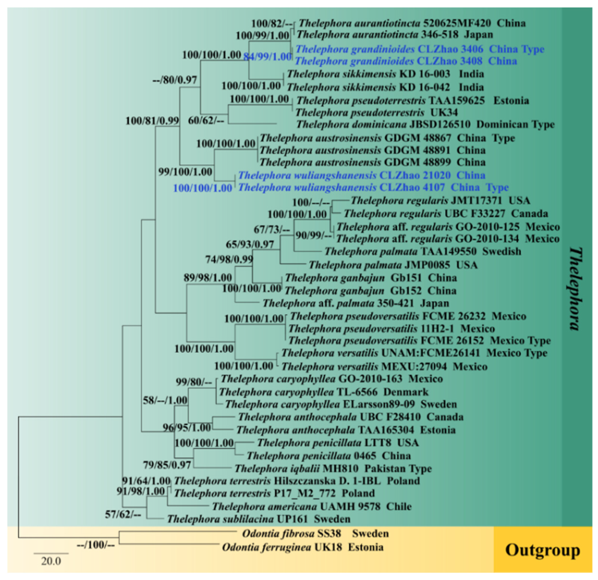 Diversity 13 00646 g003 Diversity 13 00646 g003