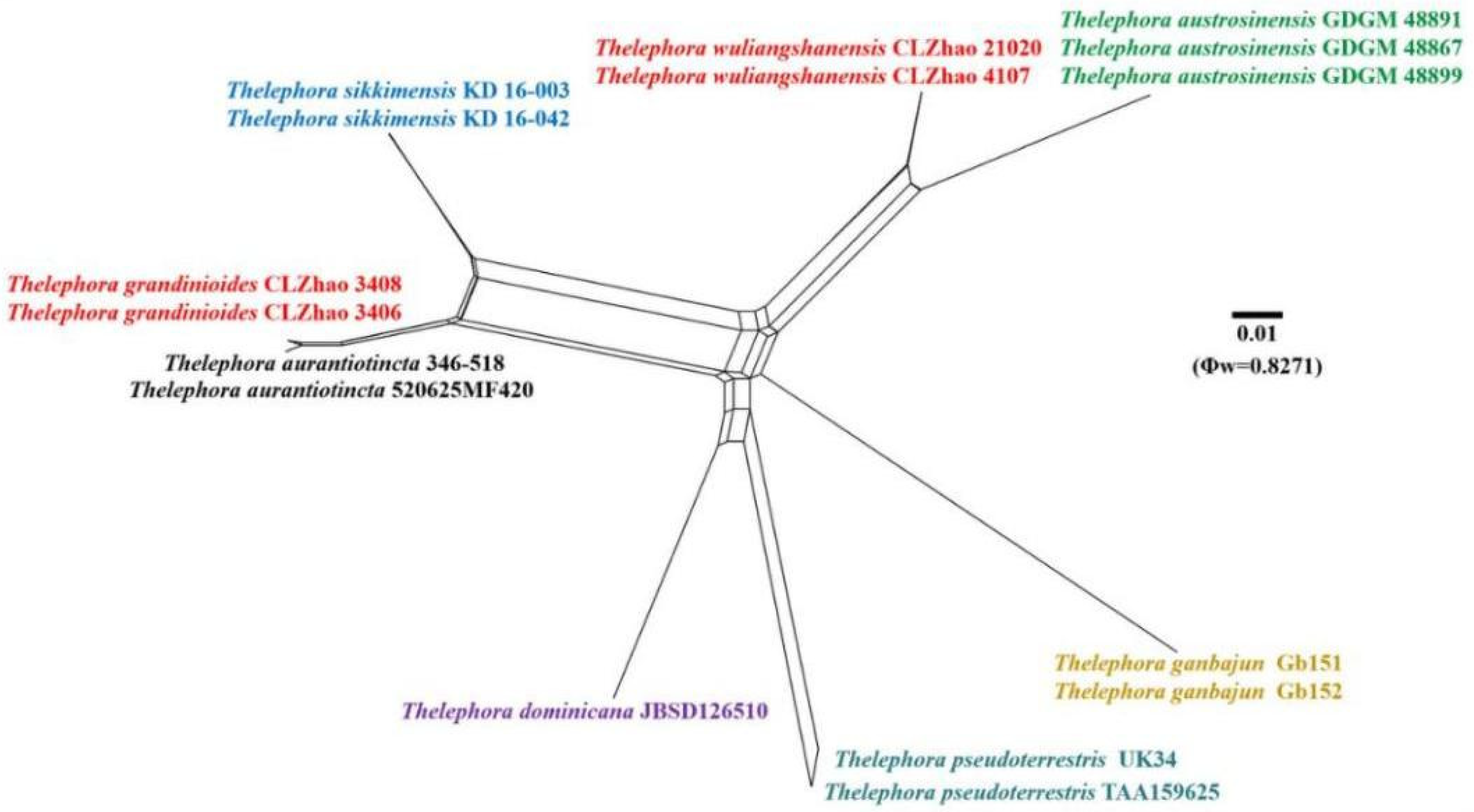 Diversity 13 00646 g005 Diversity 13 00646 g005