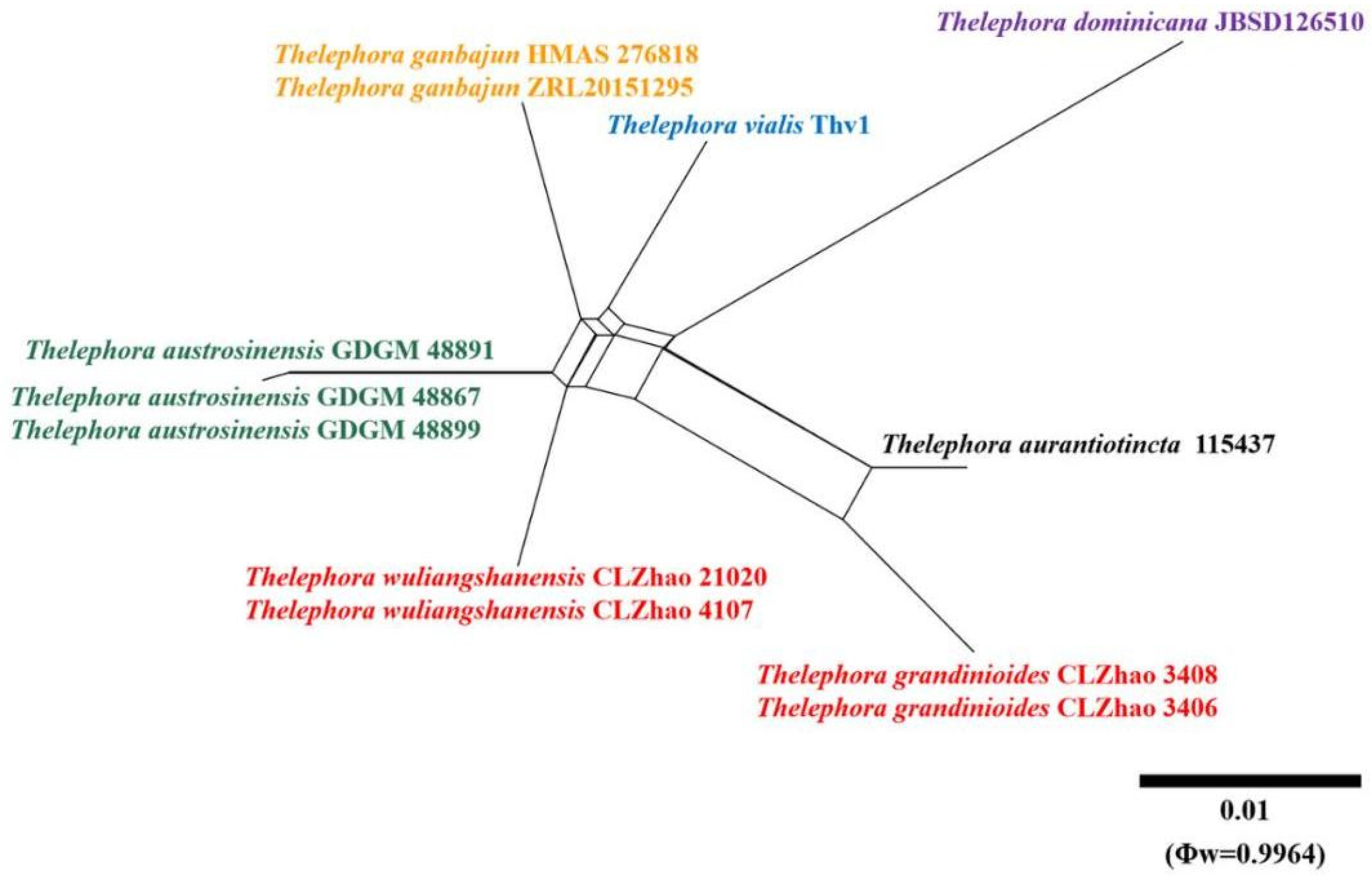 Diversity 13 00646 g006 Diversity 13 00646 g006