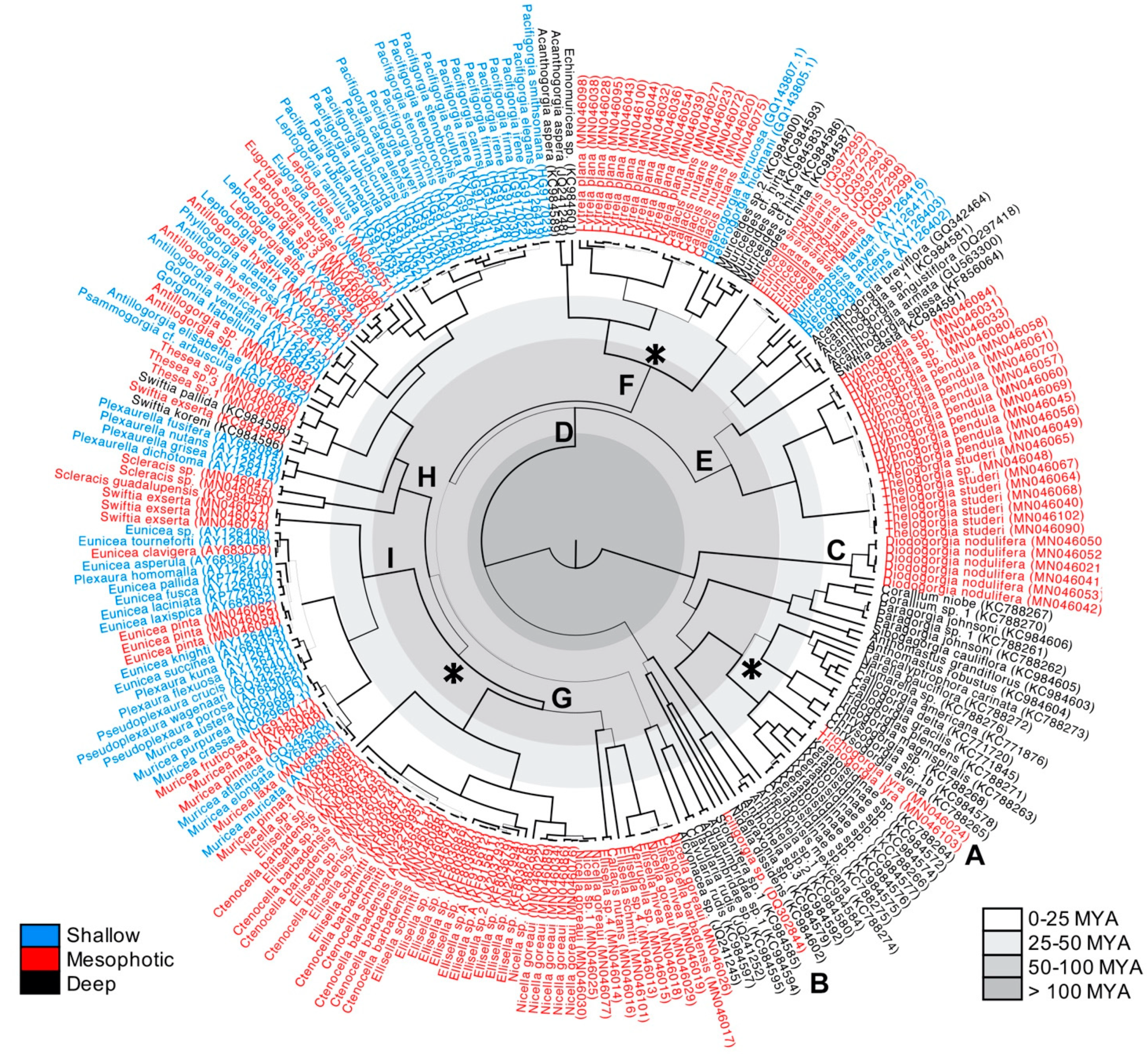 Diversity 13 00650 g001