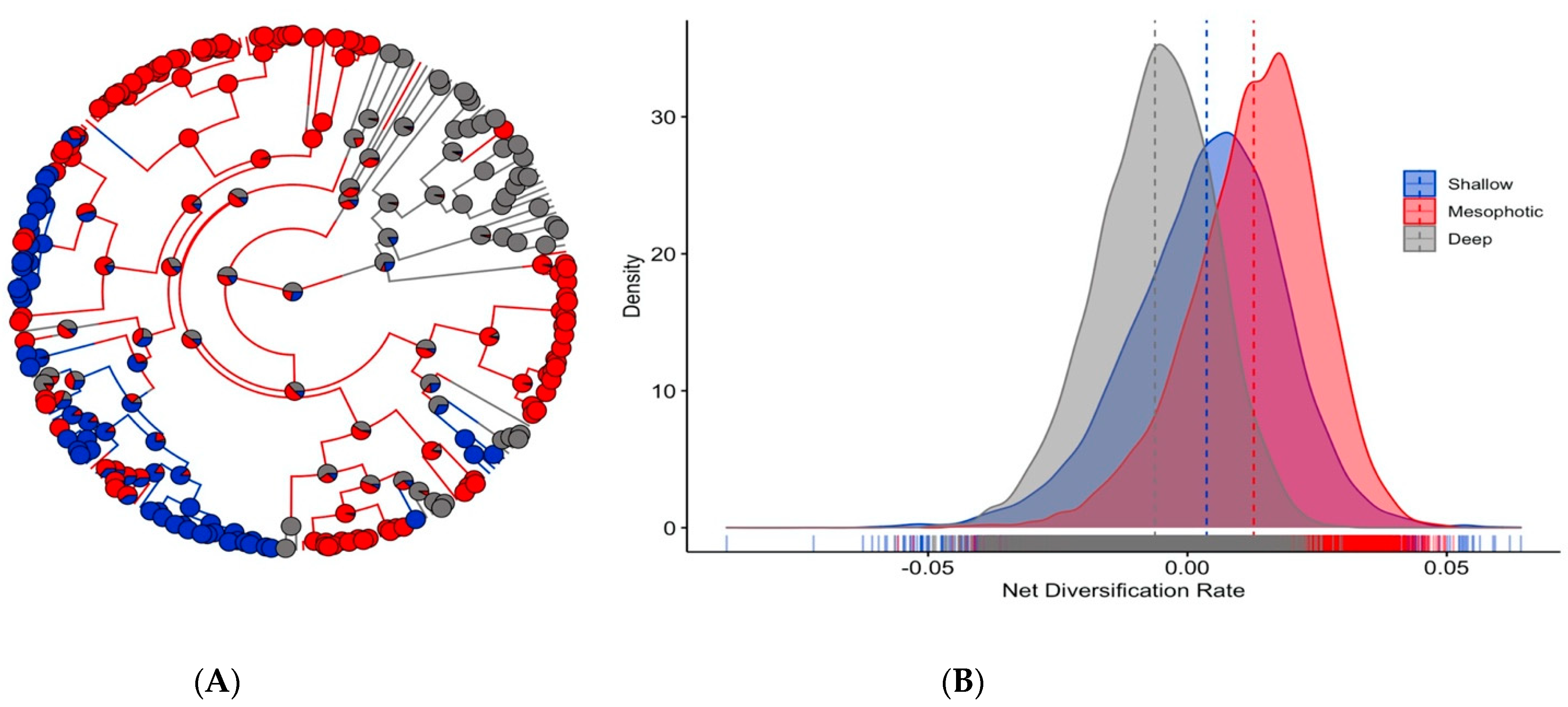 Diversity 13 00650 g002