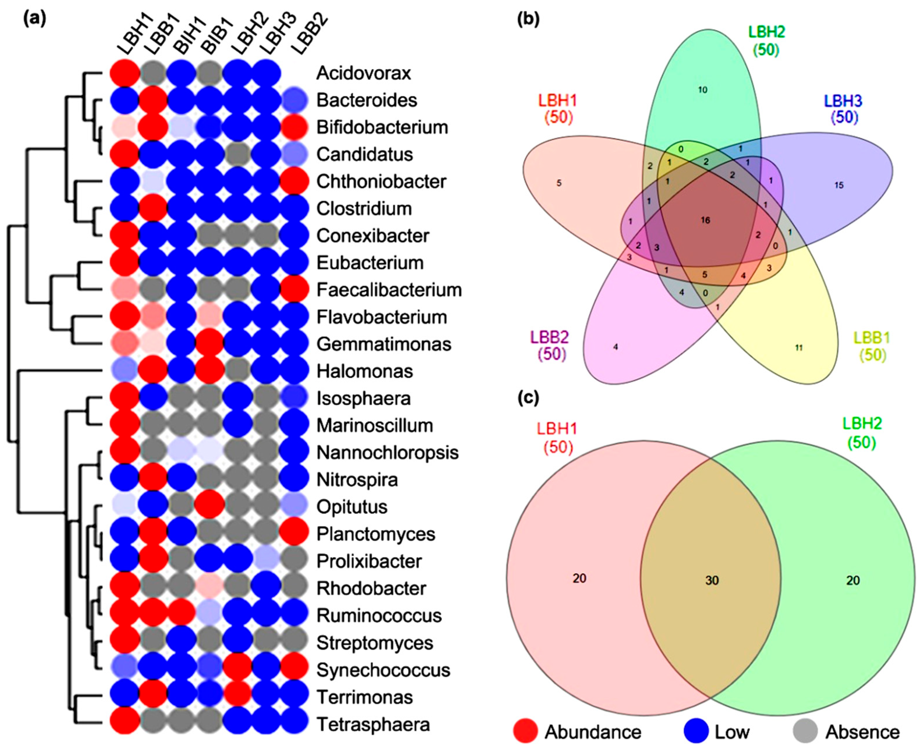 Diversity 13 00653 g003