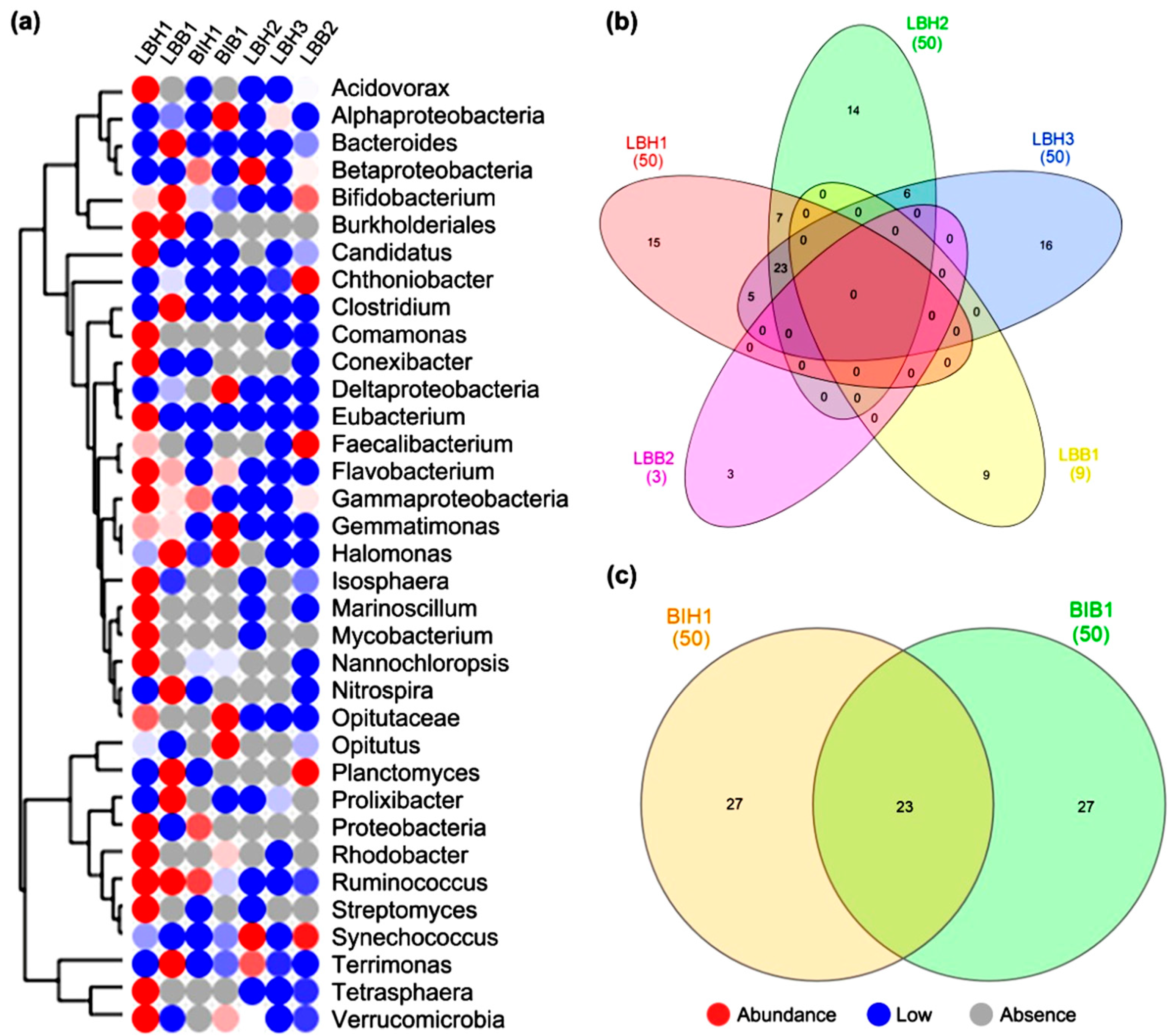 Diversity 13 00653 g004