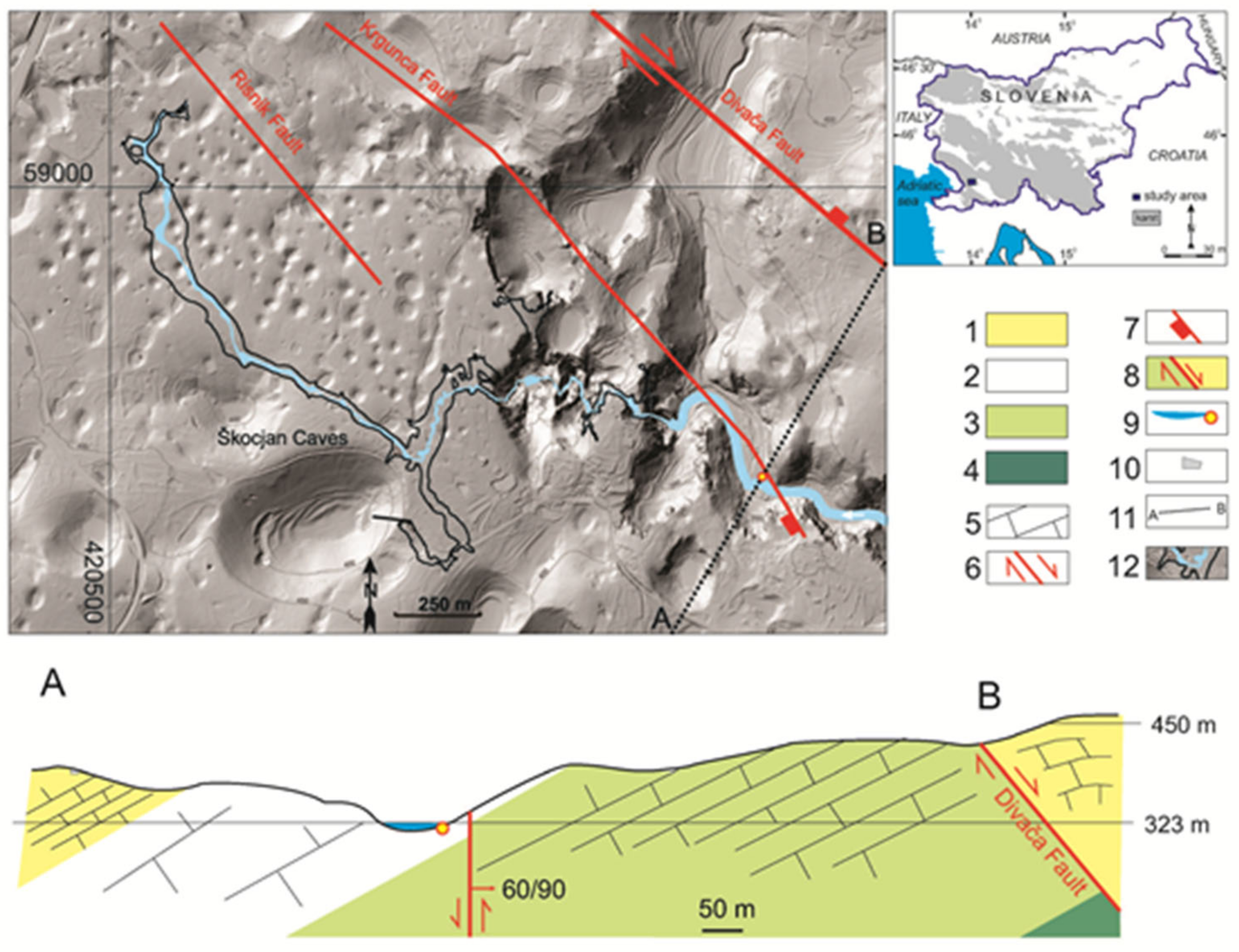 Diversity 13 00655 g002