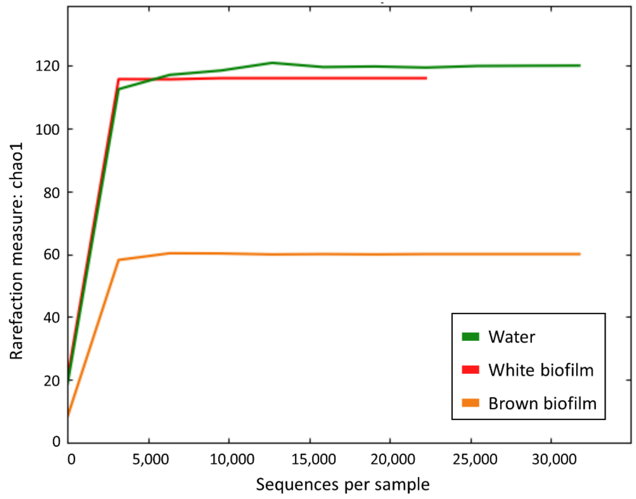 Diversity 13 00655 g004