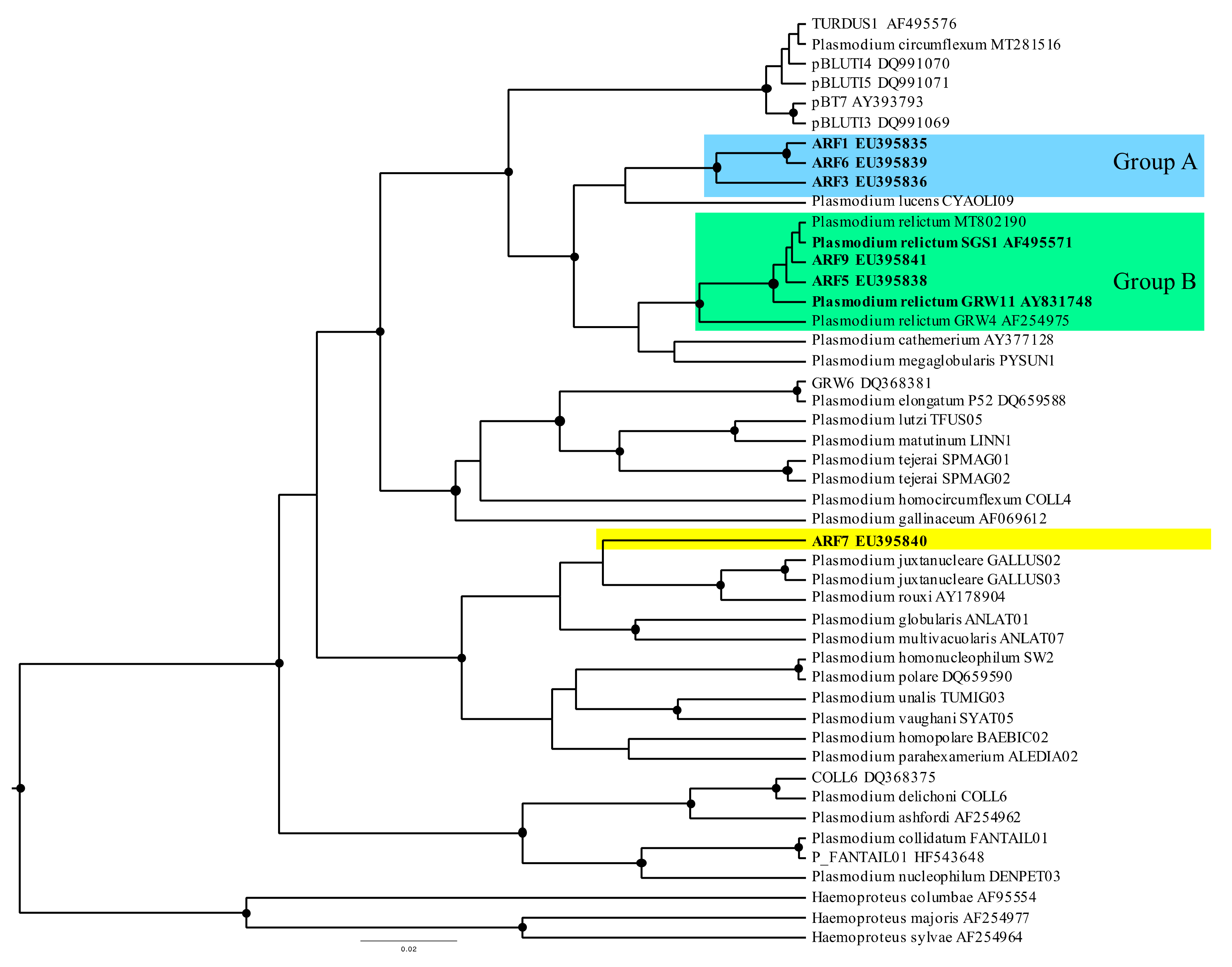 Diversity 13 00657 g002 Diversity 13 00657 g002