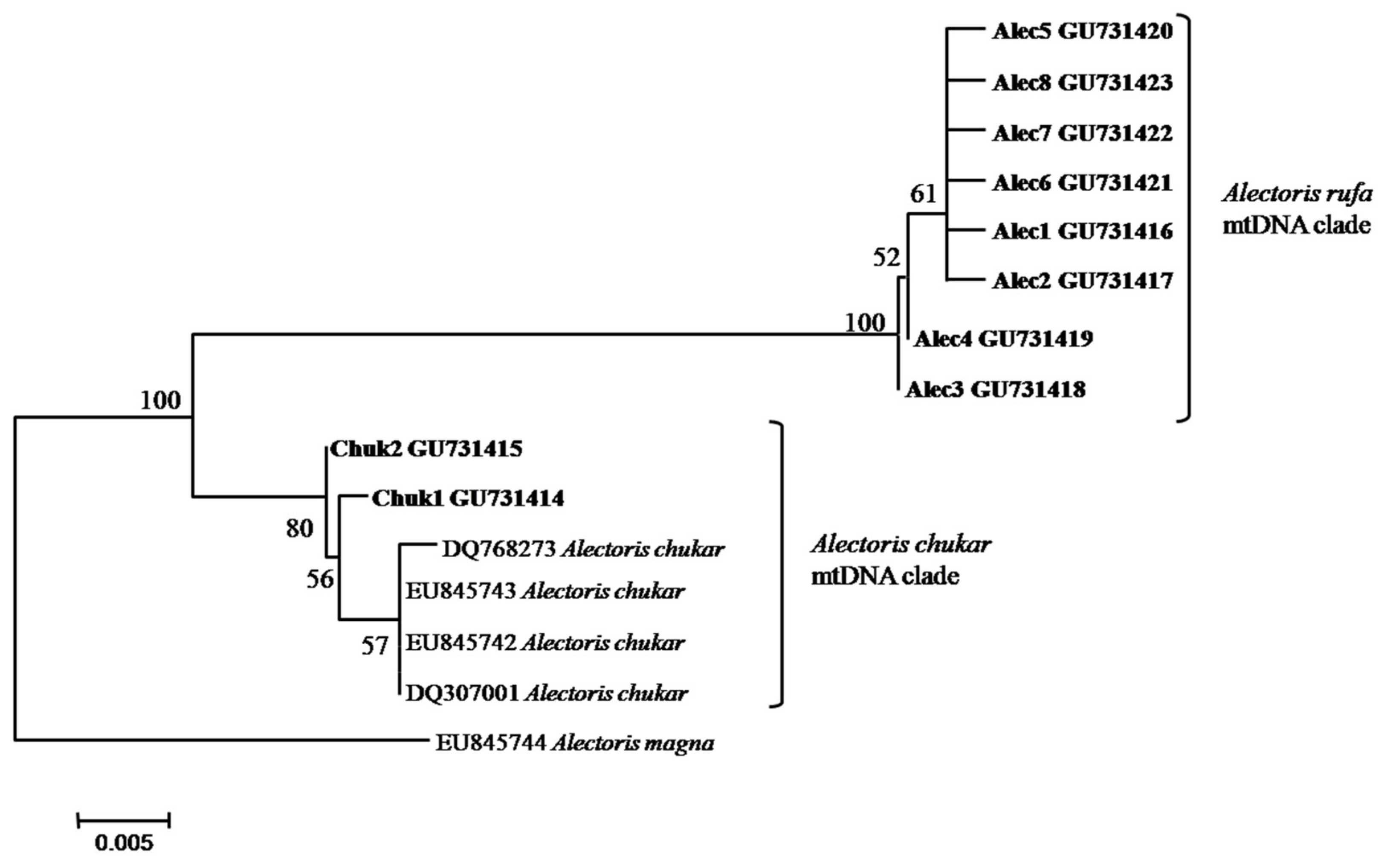 Diversity 13 00657 g003 Diversity 13 00657 g003