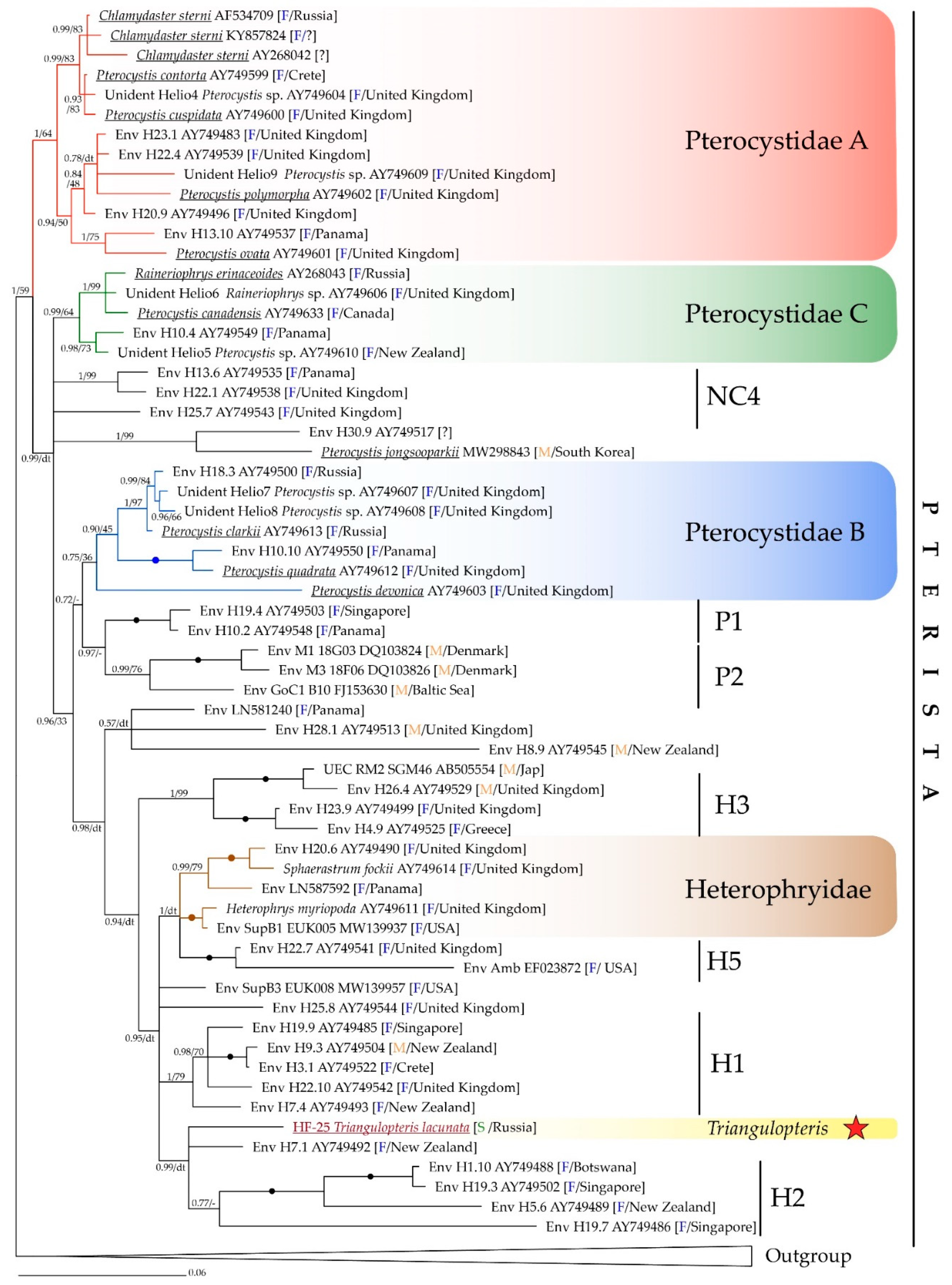 Diversity 13 00658 g006 550