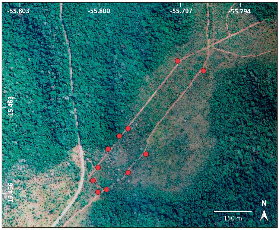 Diversity 13 00661 g002