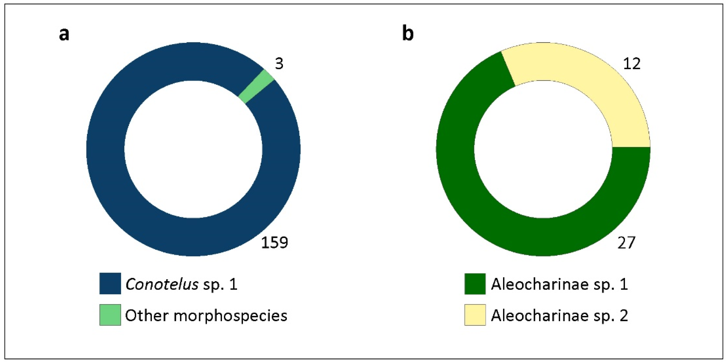 Diversity 13 00661 g008
