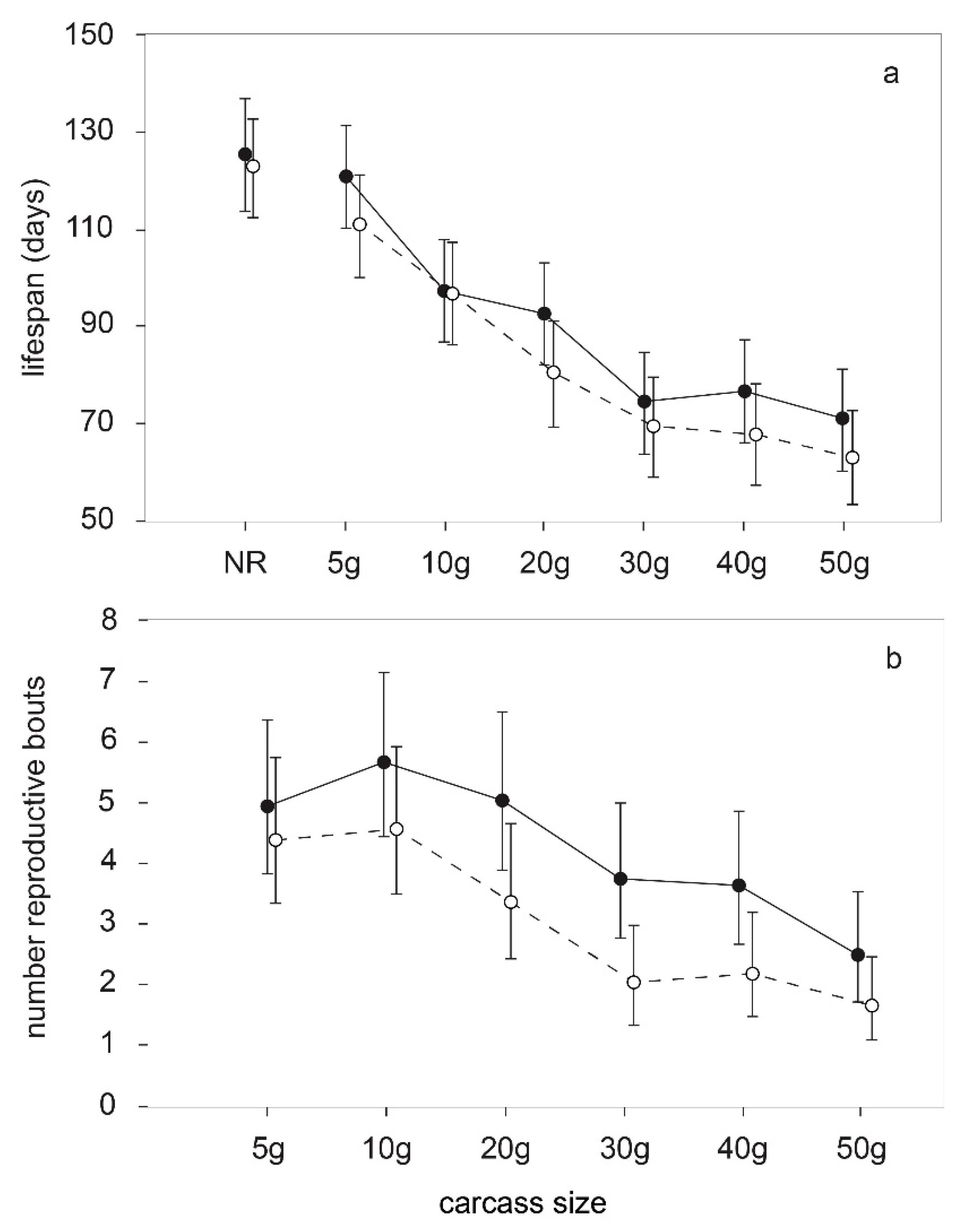Diversity 13 00662 g002