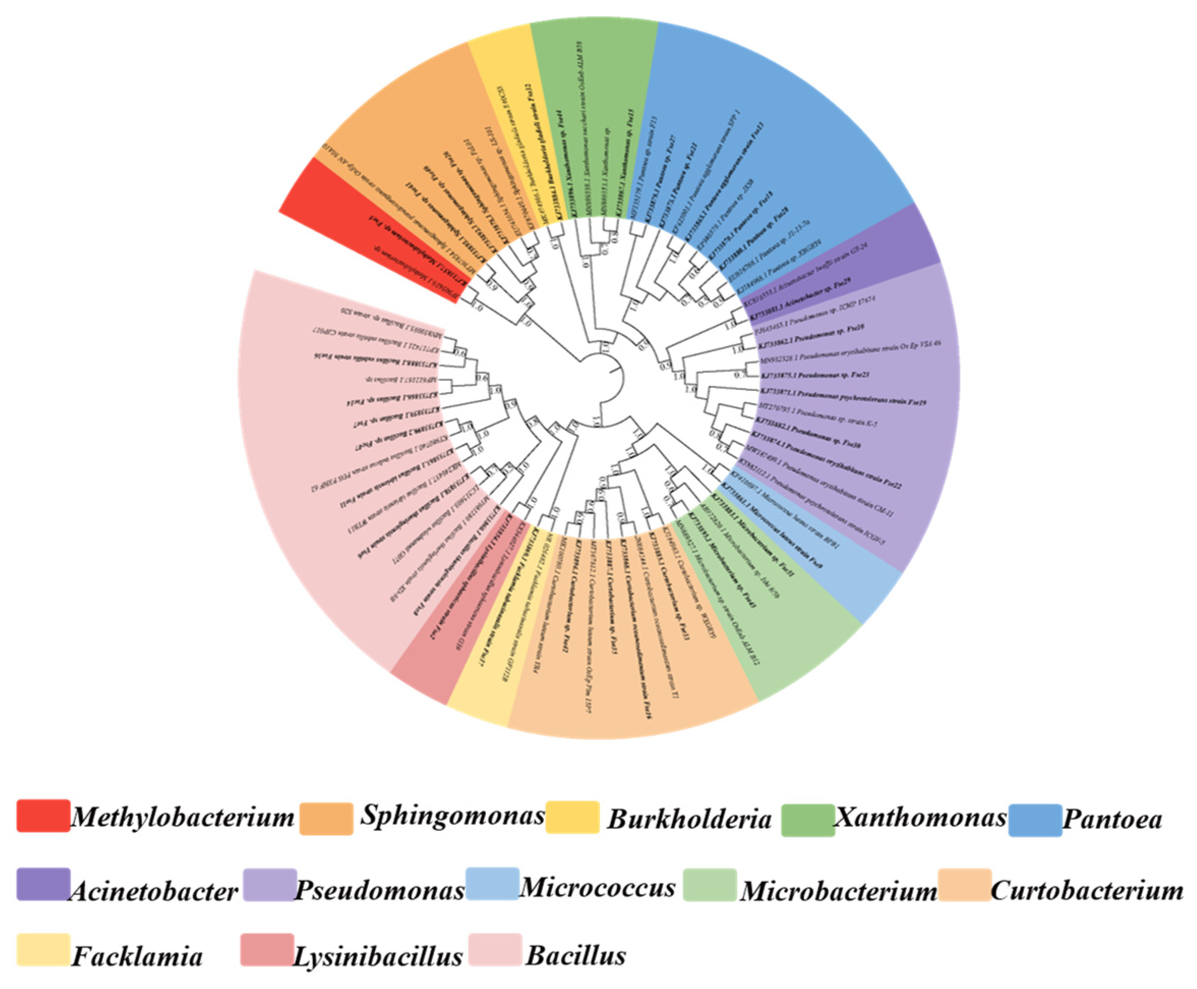 Diversity 13 00665 g002