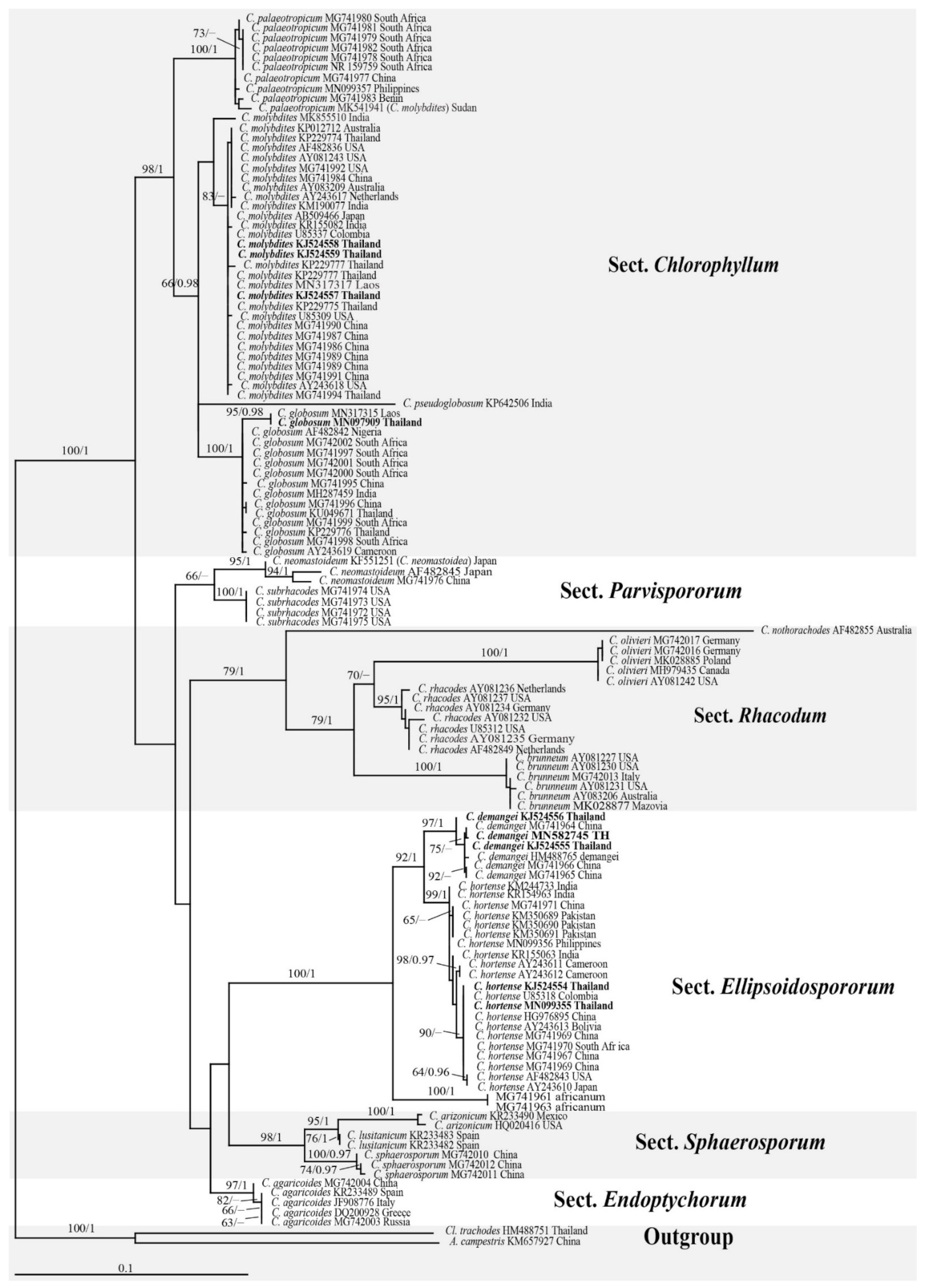 Diversity 13 00666 g002