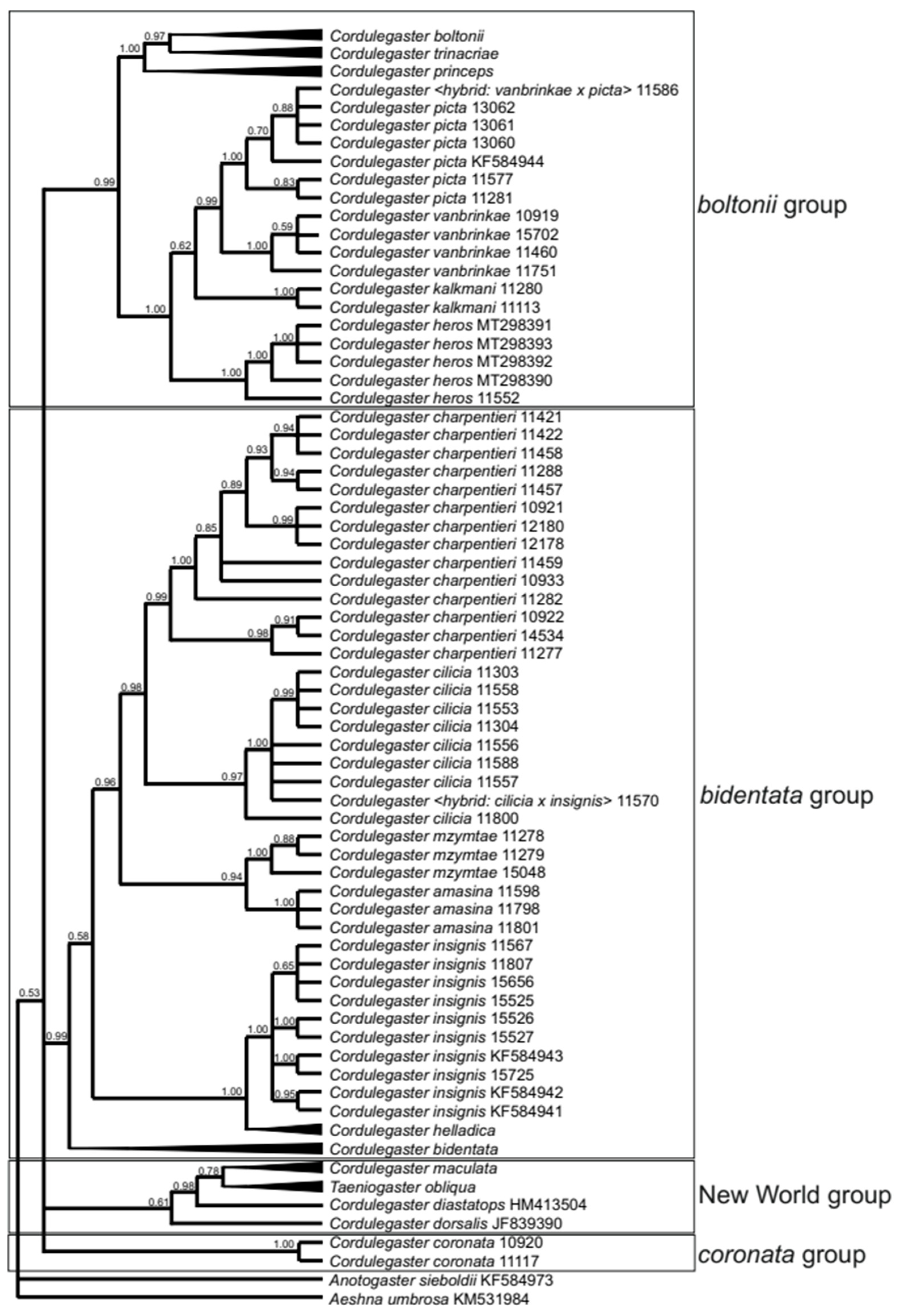 Diversity 13 00667 g004