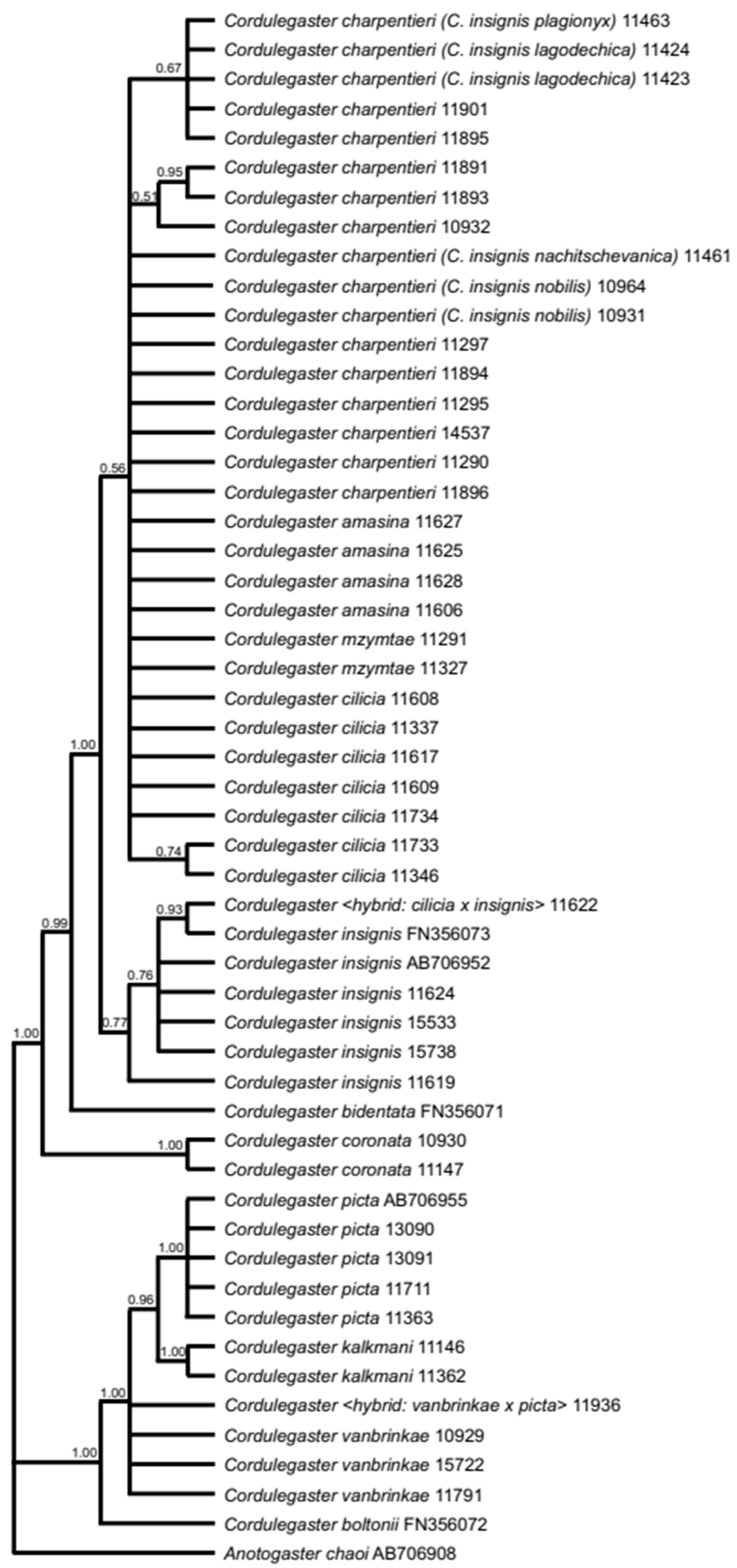 Diversity 13 00667 g005