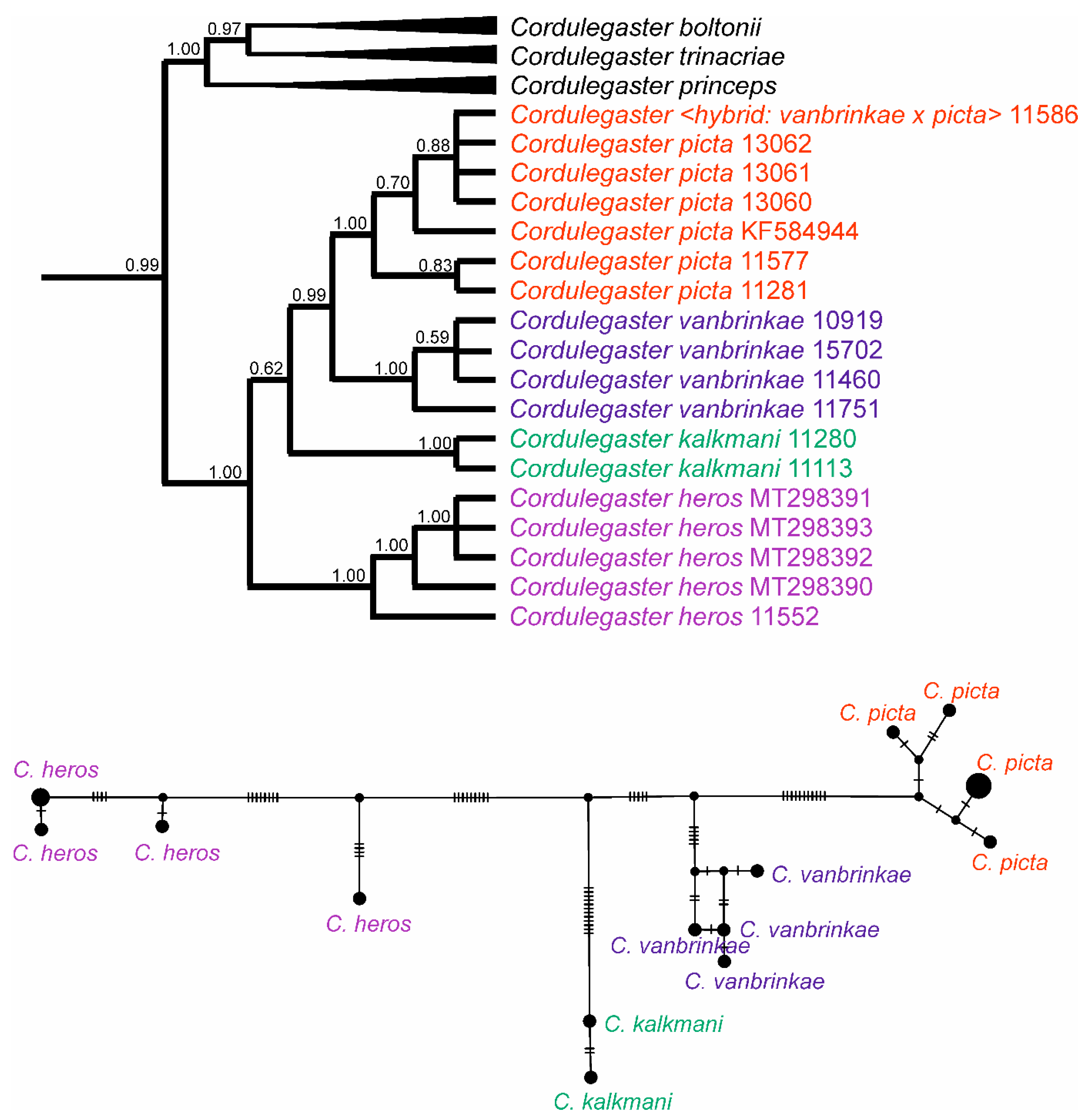Diversity 13 00667 g006