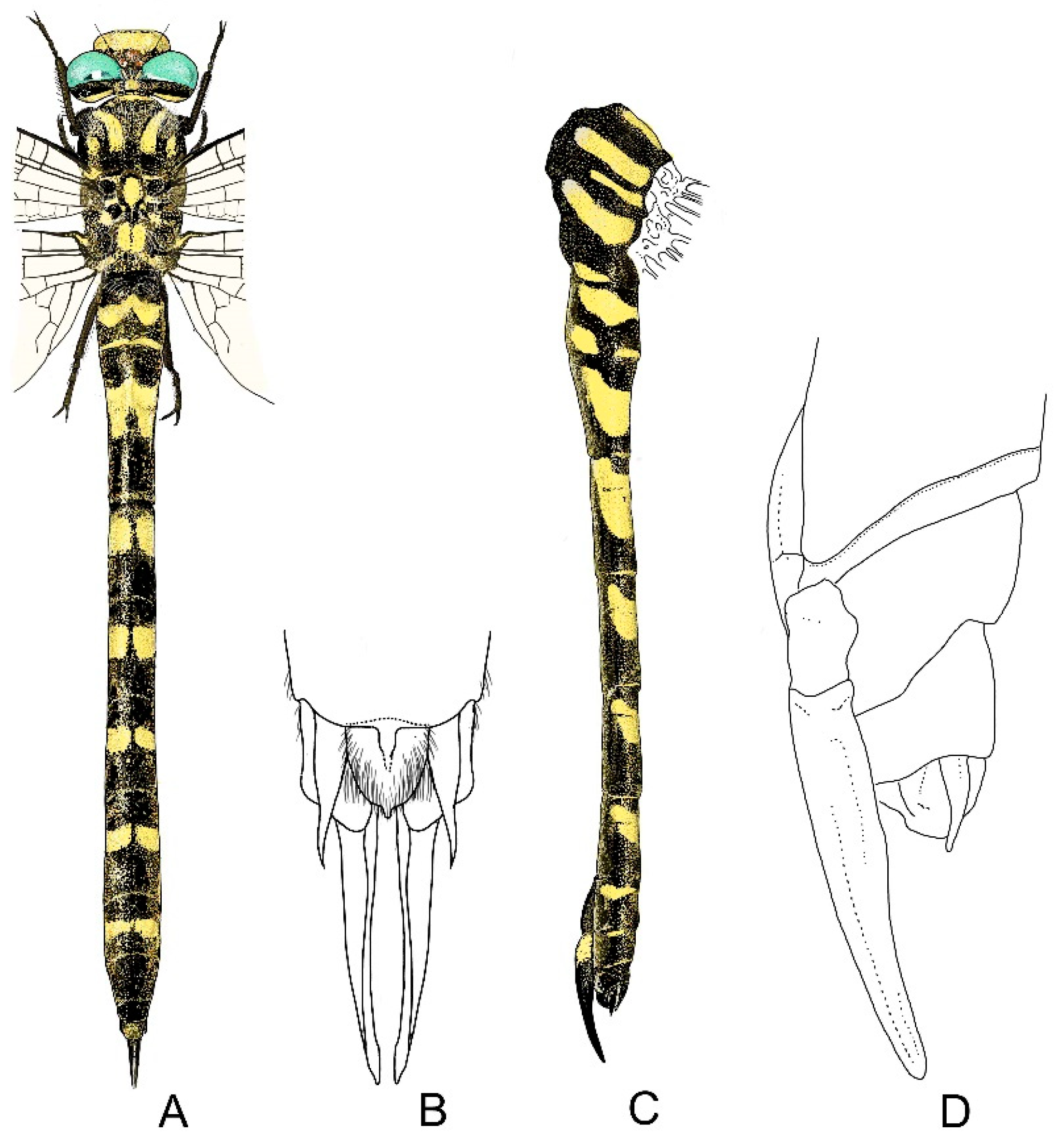 Diversity 13 00667 g010