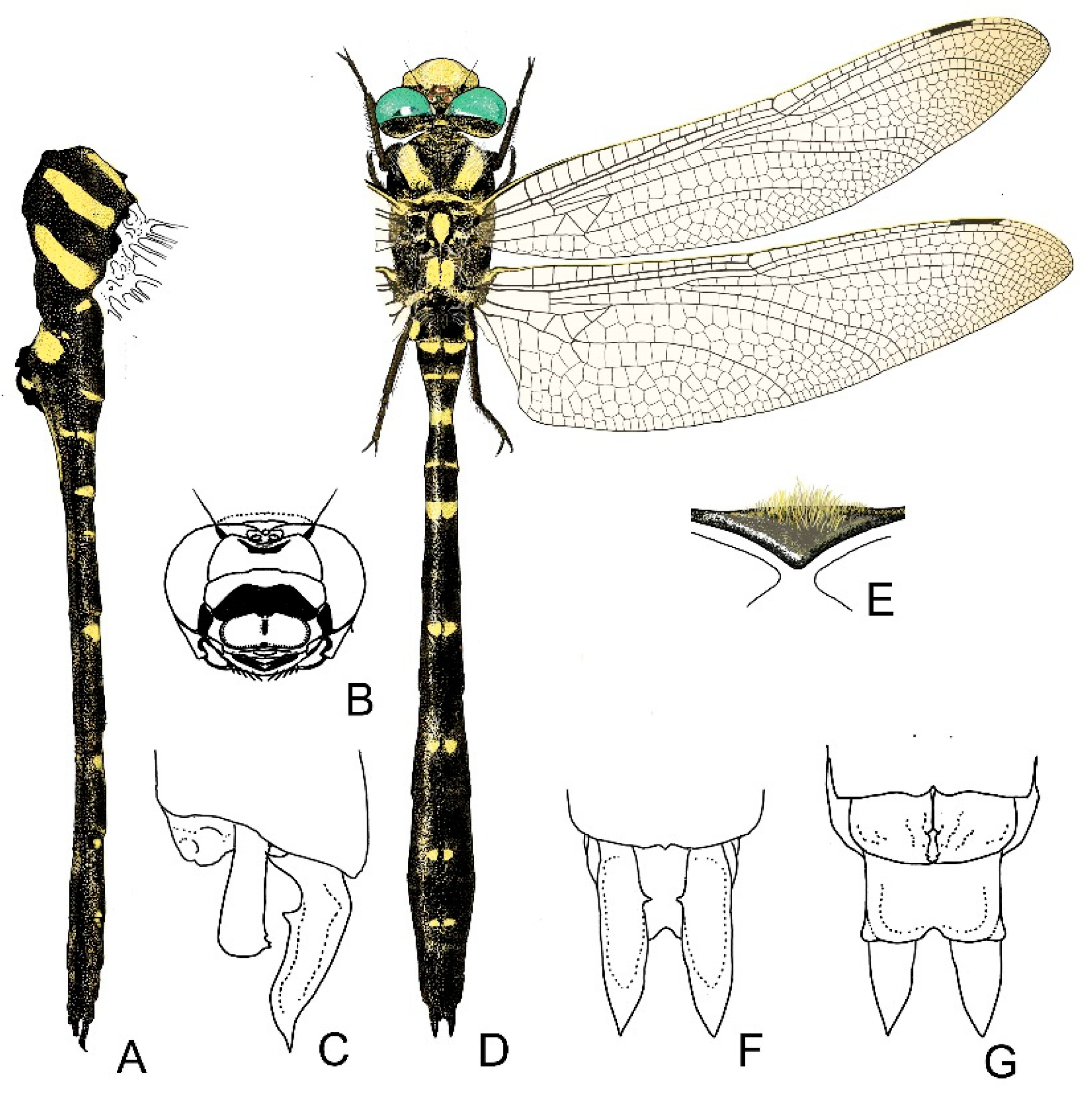 Diversity 13 00667 g018
