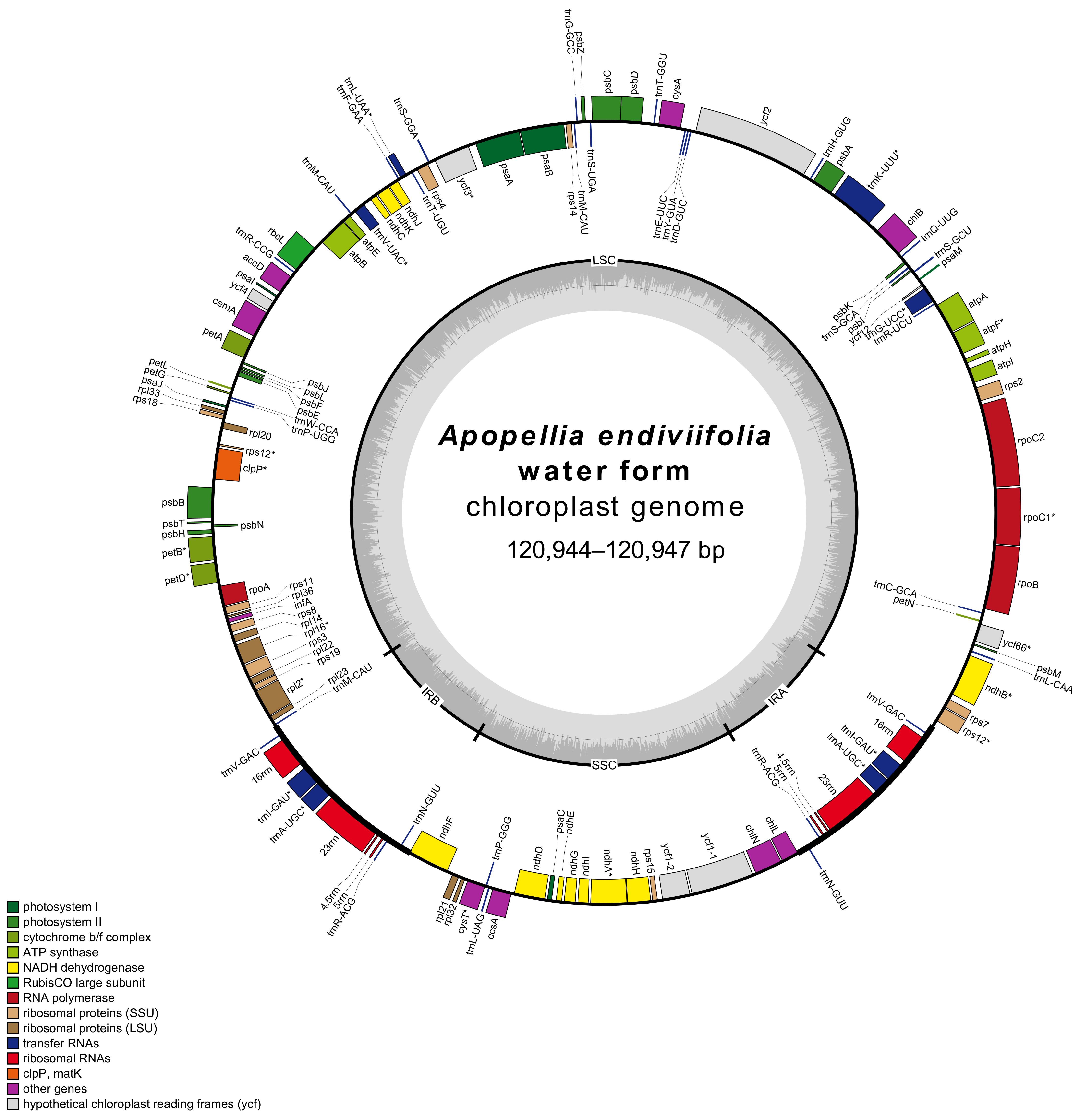 Diversity 13 00674 g001 550