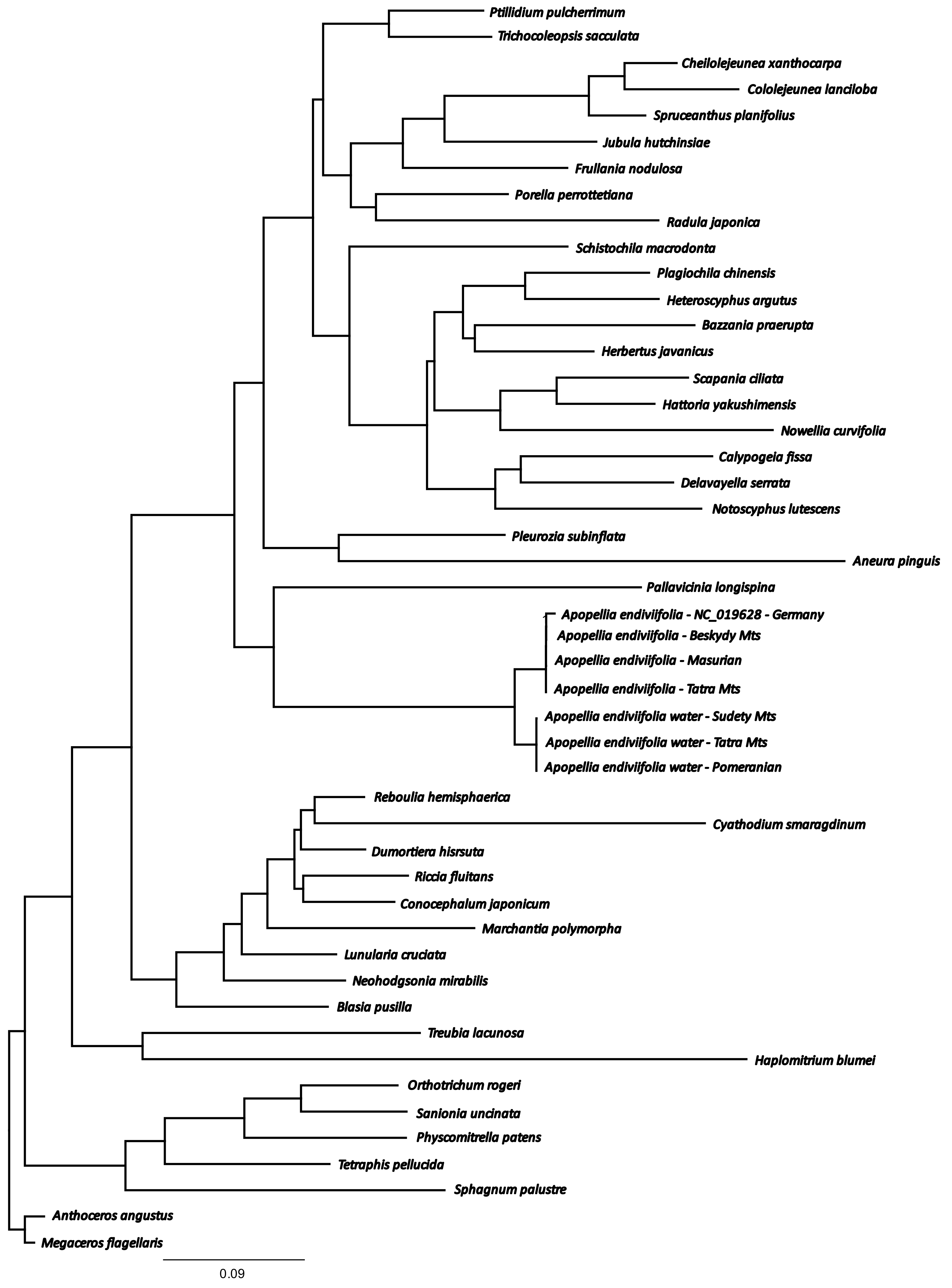 Diversity 13 00674 g004 550