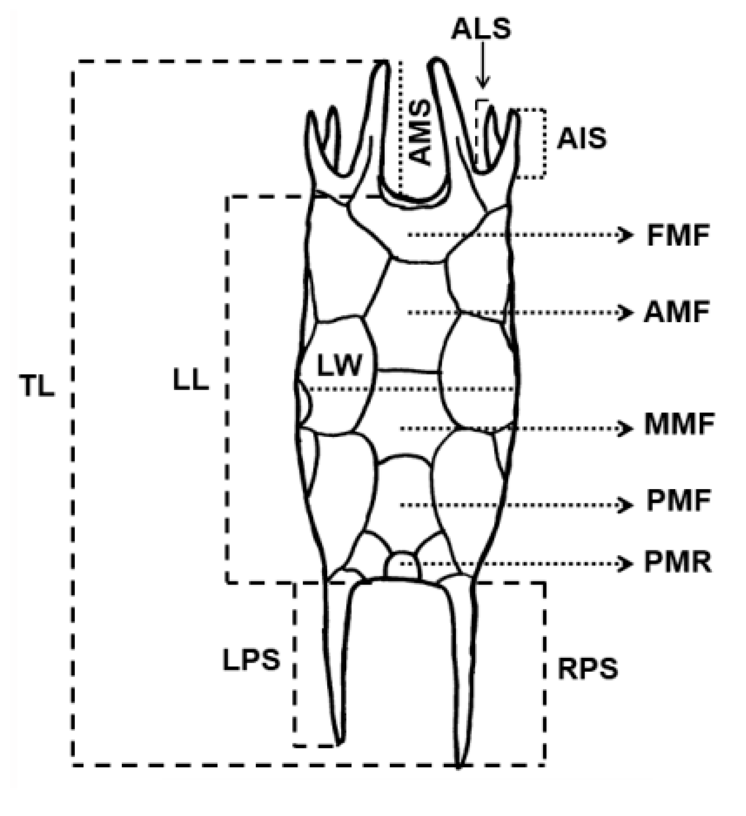 Diversity 13 00676 g002