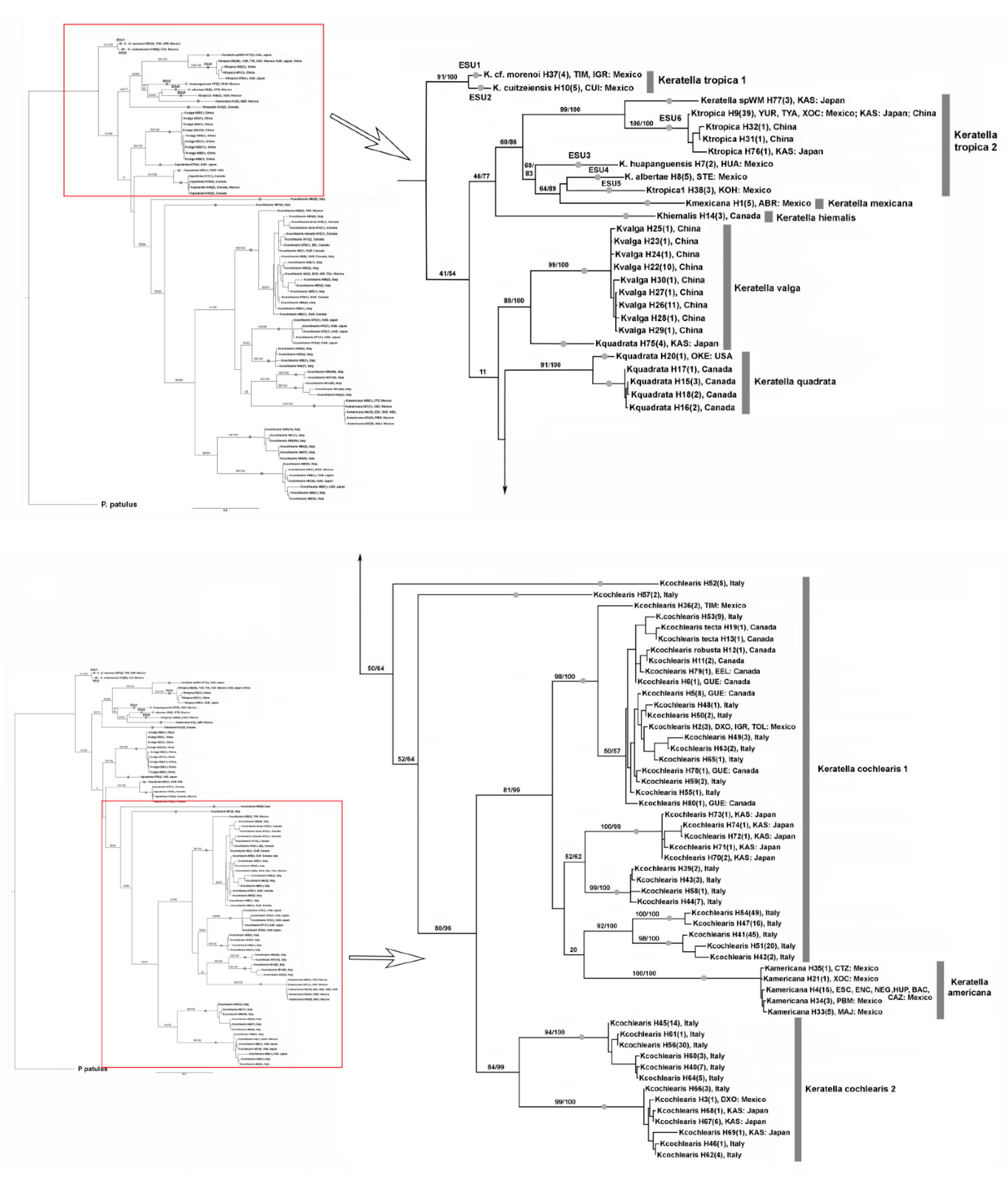 Diversity 13 00676 g003