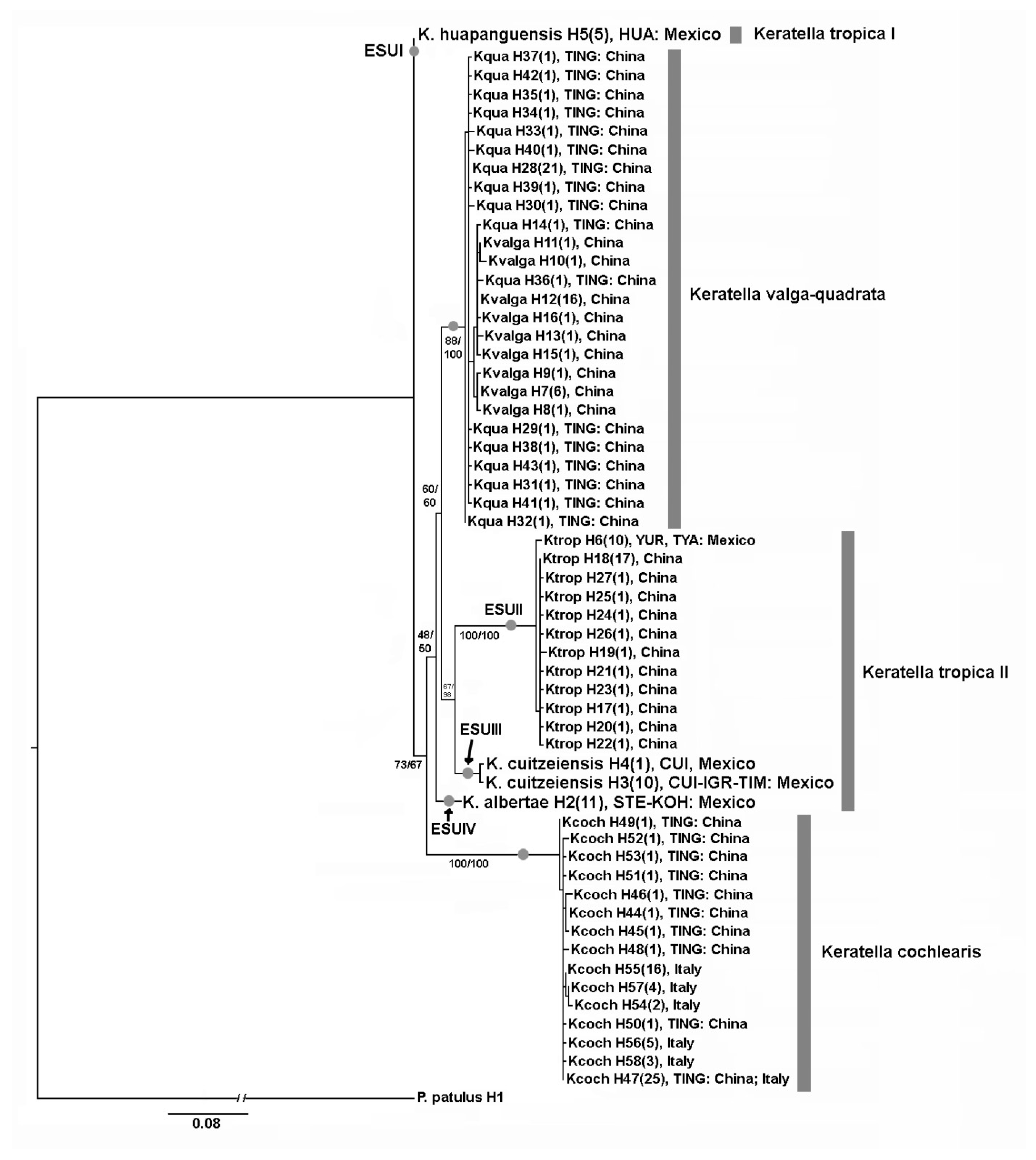 Diversity 13 00676 g004