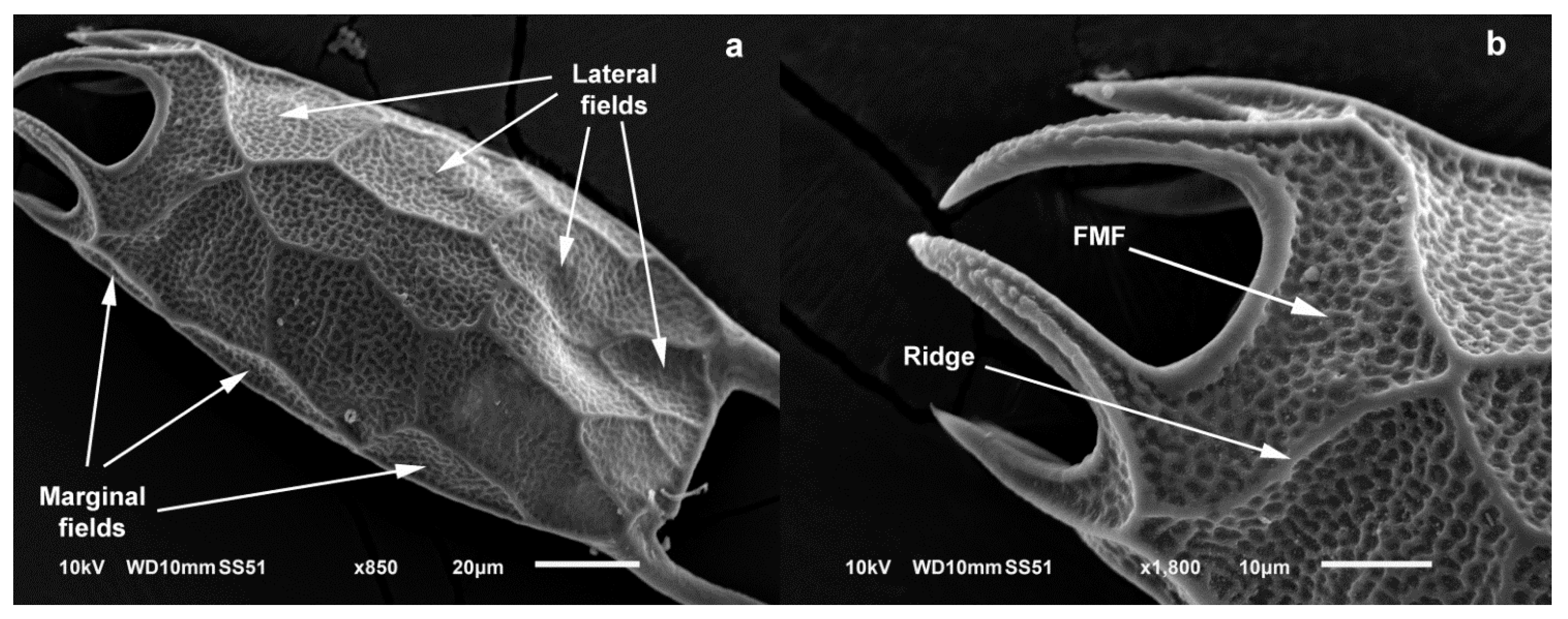 Diversity 13 00676 g009