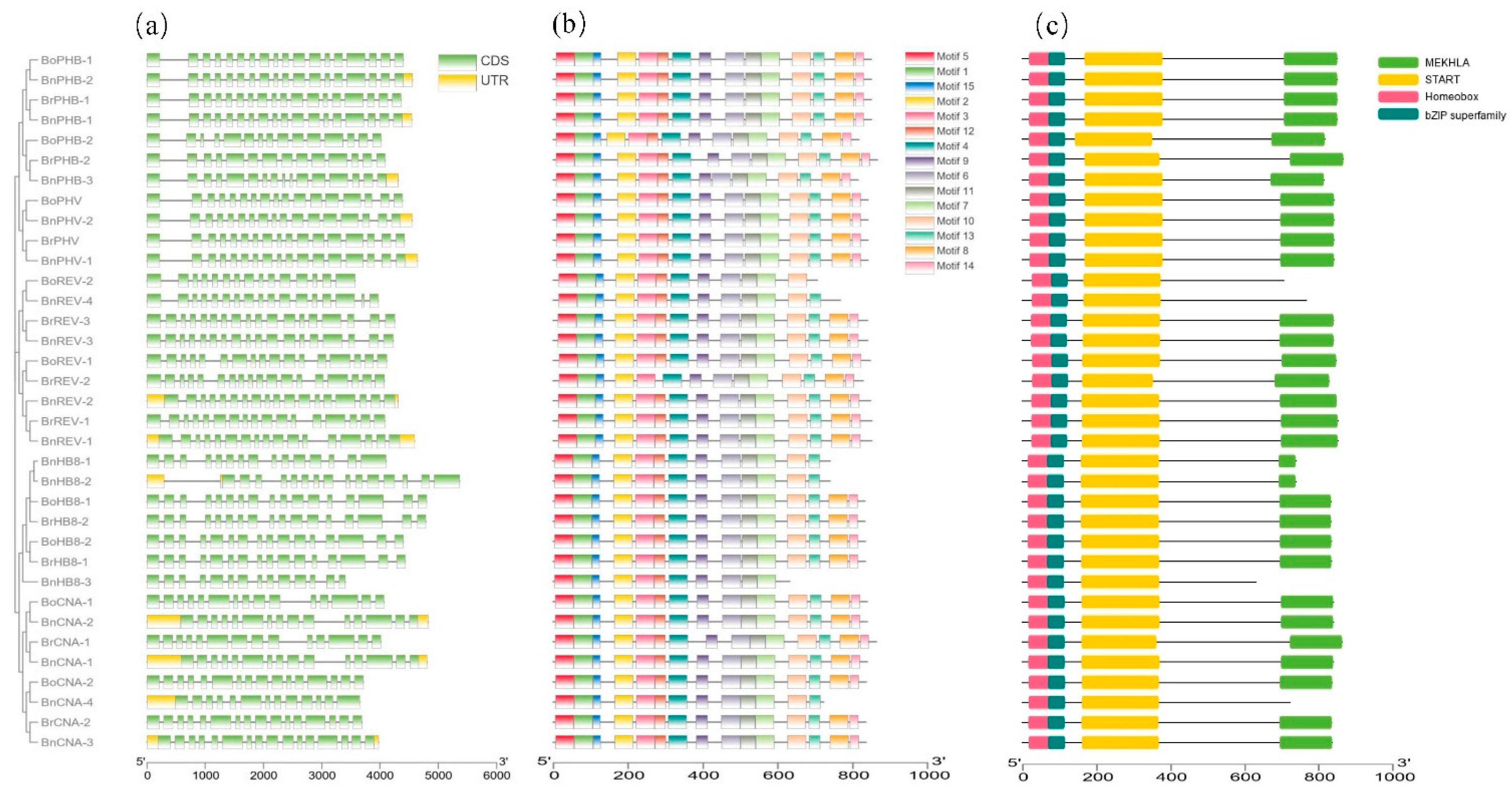 Diversity 13 00684 g003
